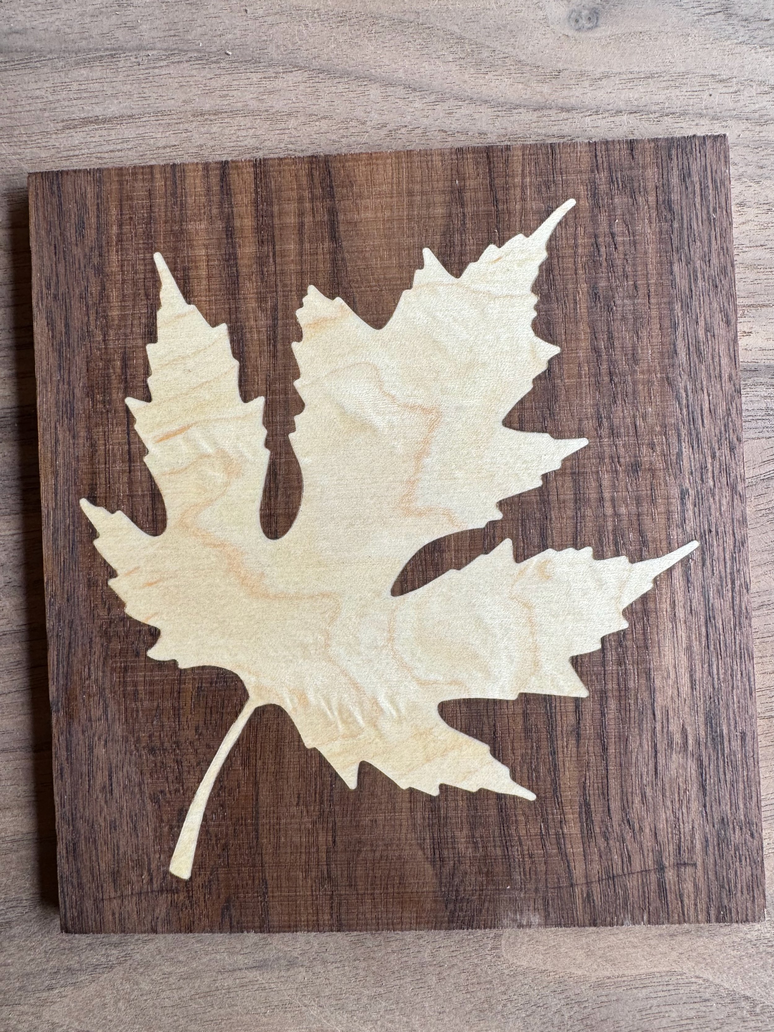 Leaf Detail