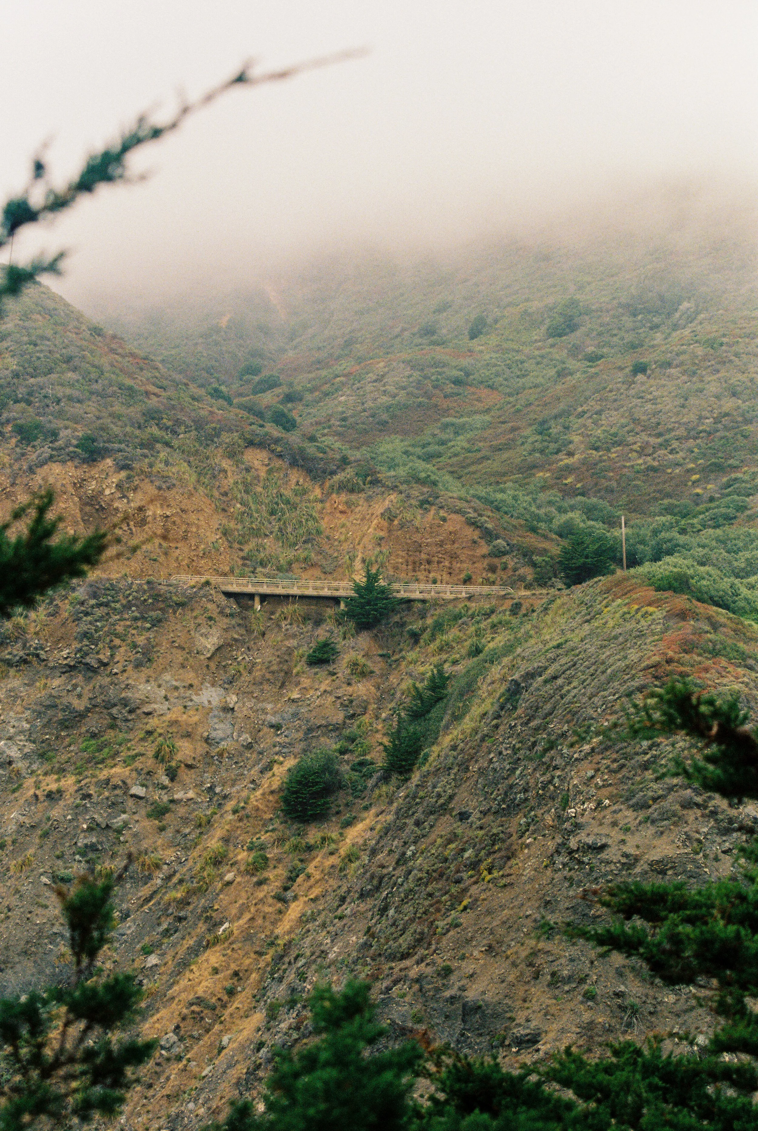 CA Film-6.jpg
