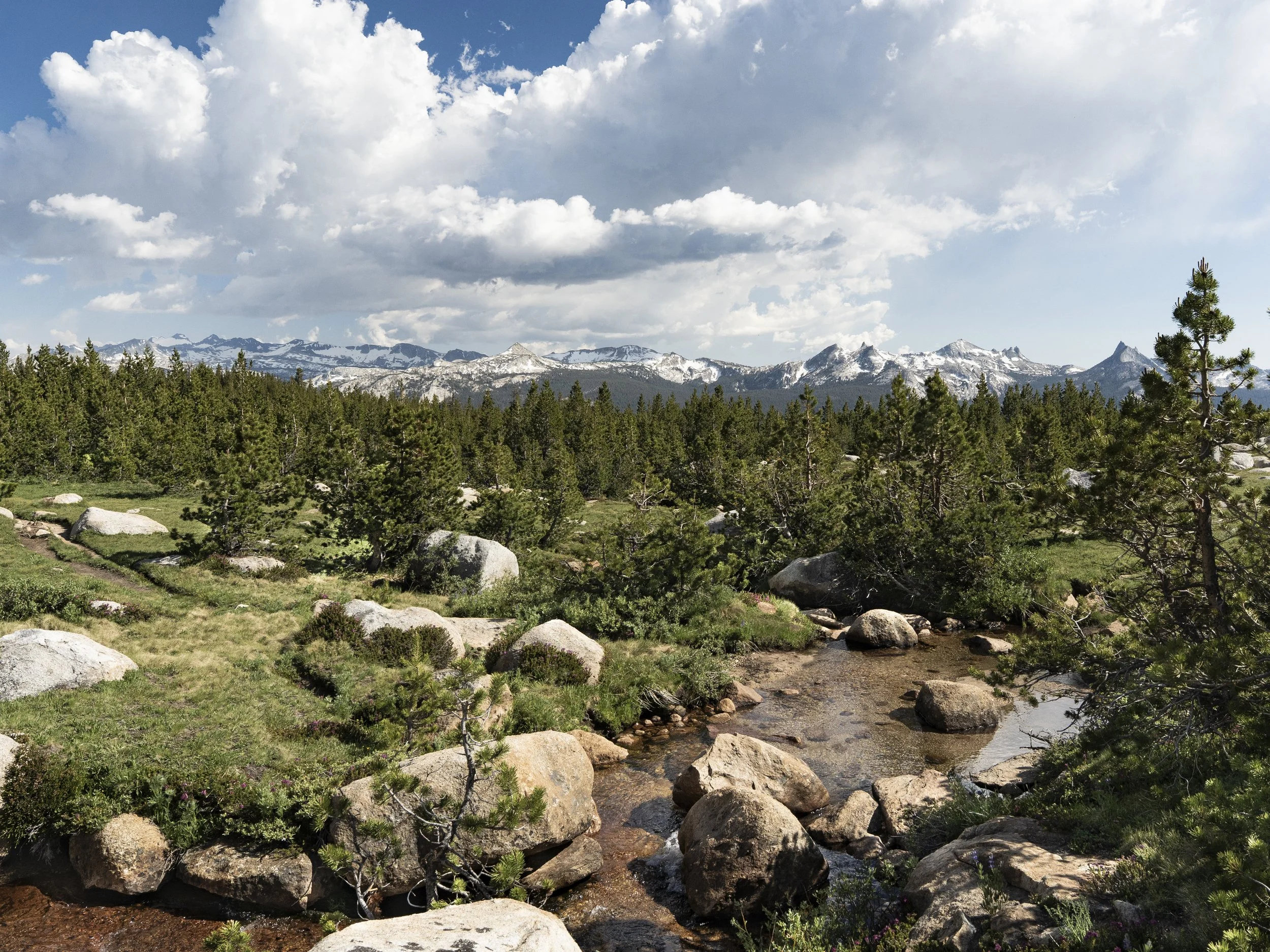 Eagle Rock-10.jpg