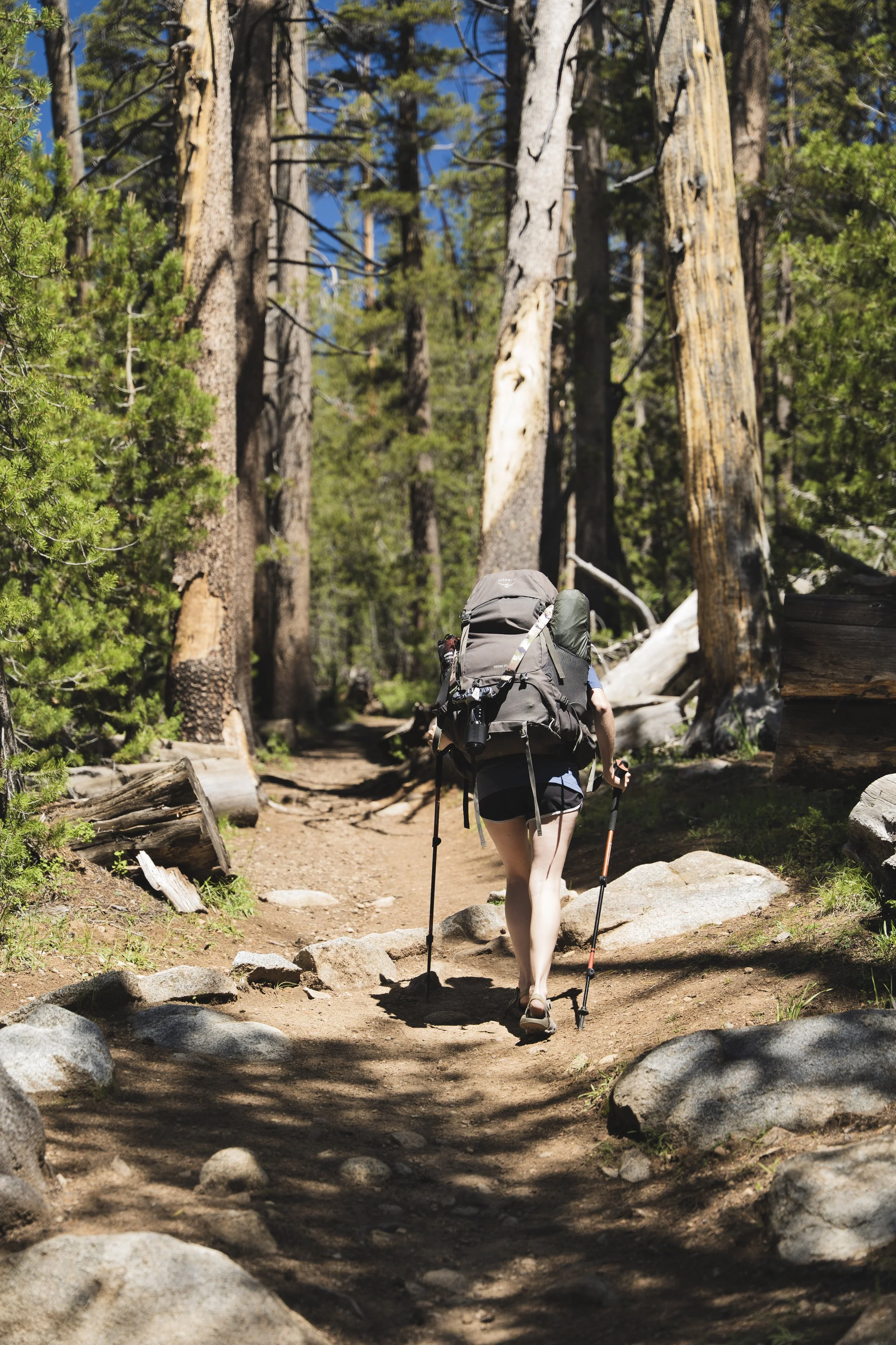 Eagle Rock-5.jpg