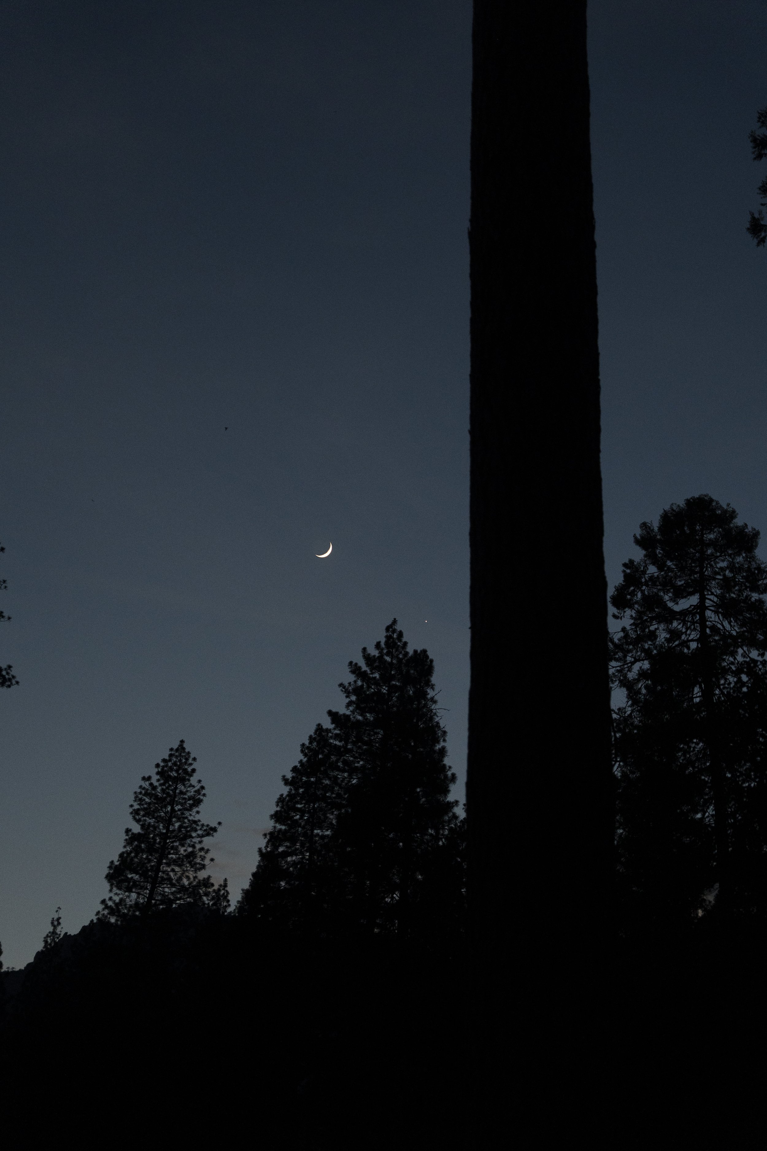 Yosemite-9.jpg