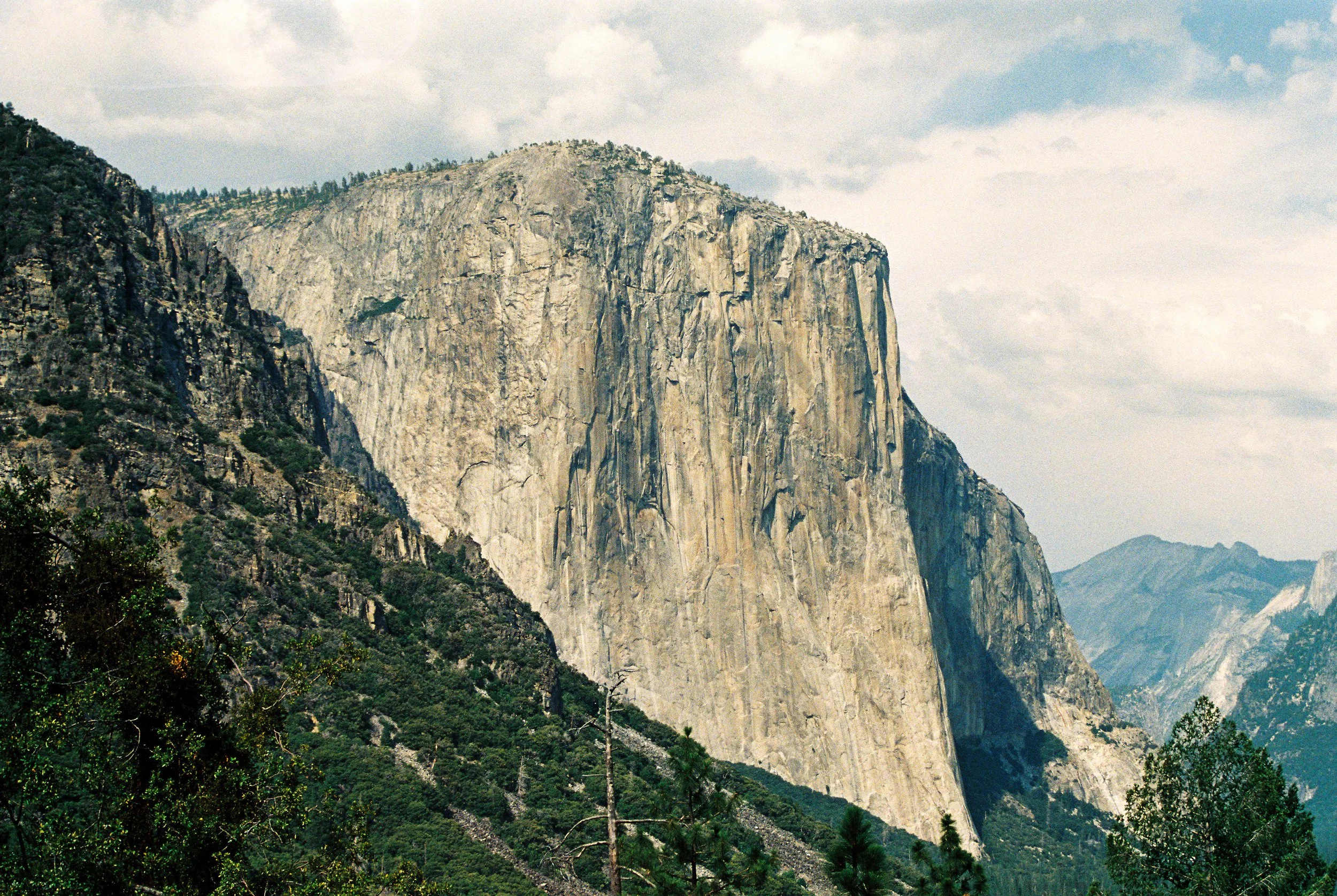 CA Film-35.jpg