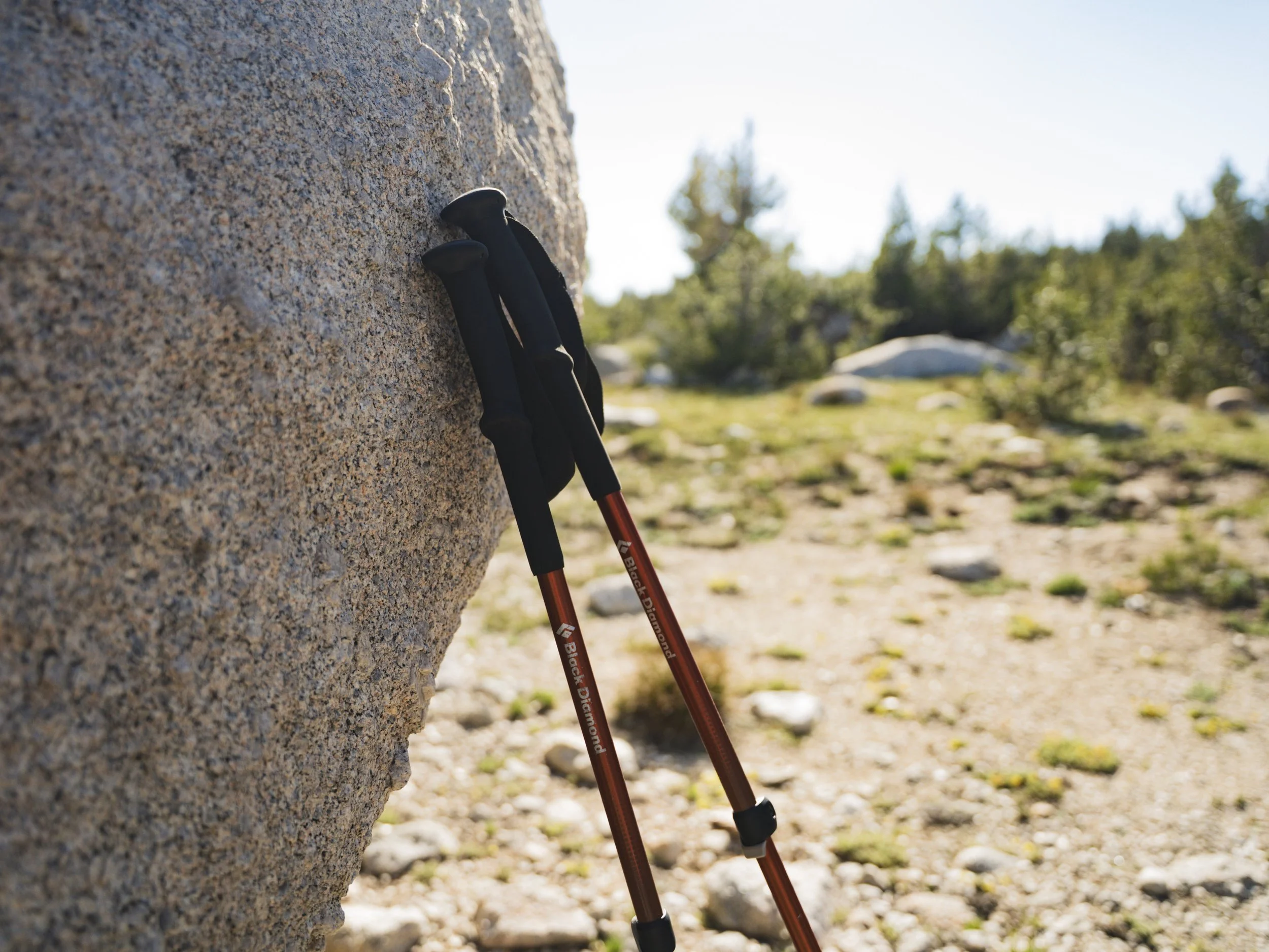 Eagle Rock-23.jpg