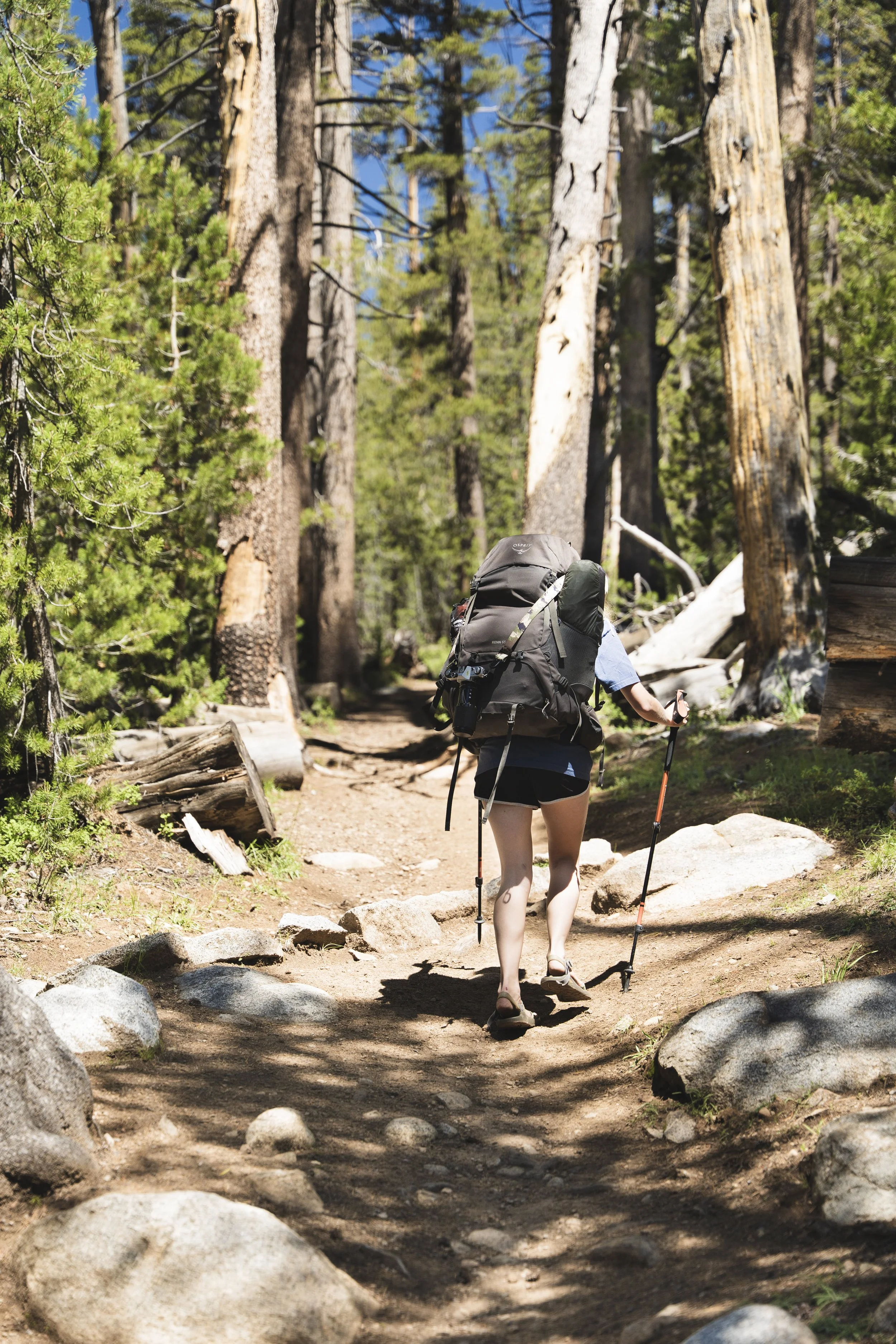 Eagle Rock-4.jpg