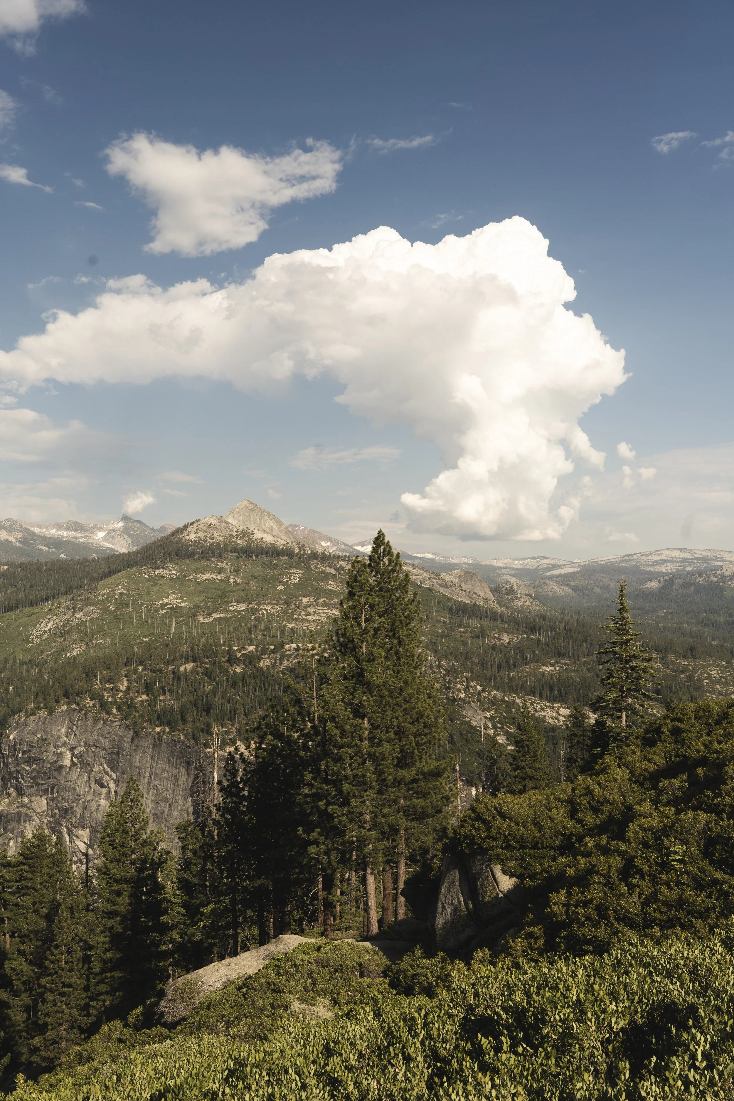 Yosemite-26.jpg