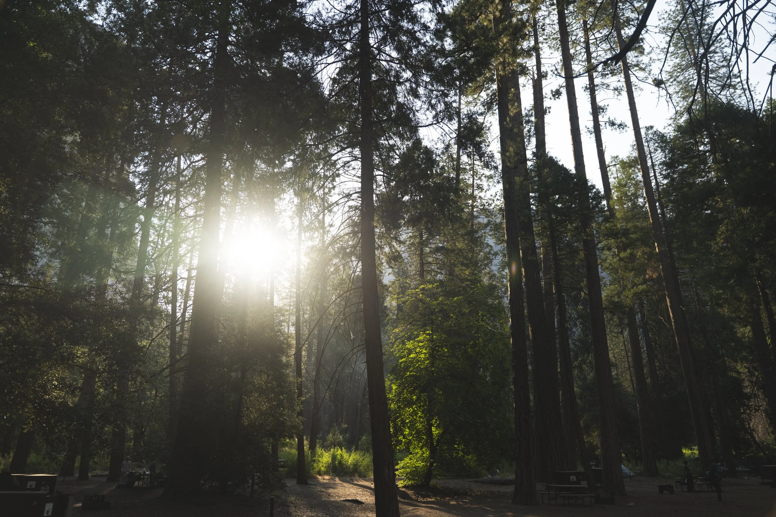 Yosemite-10.jpg