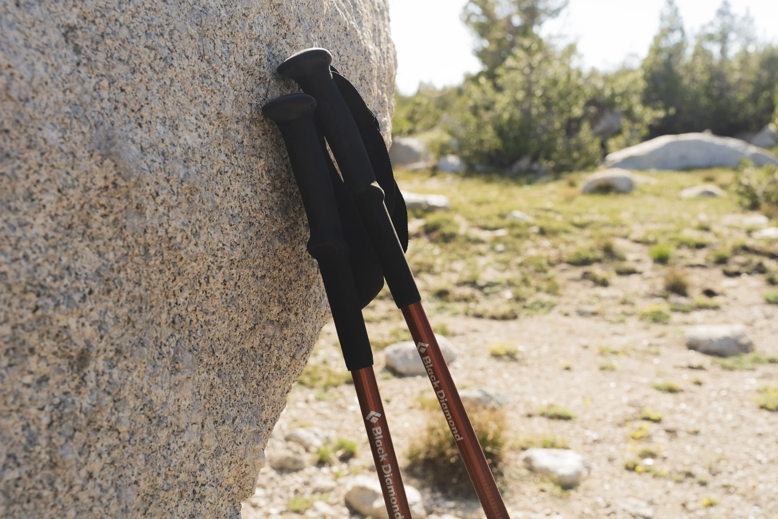Eagle Rock-22.jpg