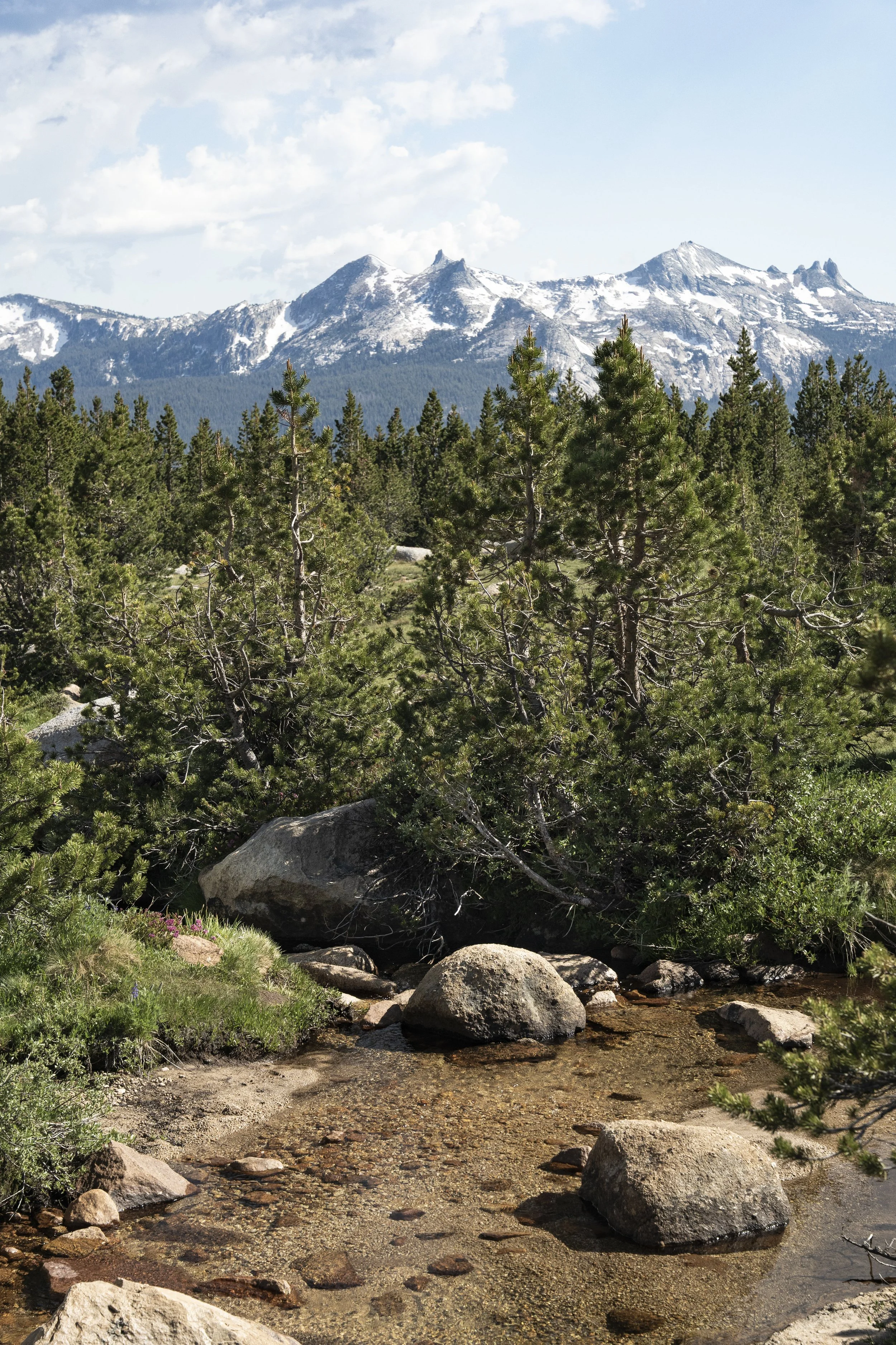 Eagle Rock-11.jpg