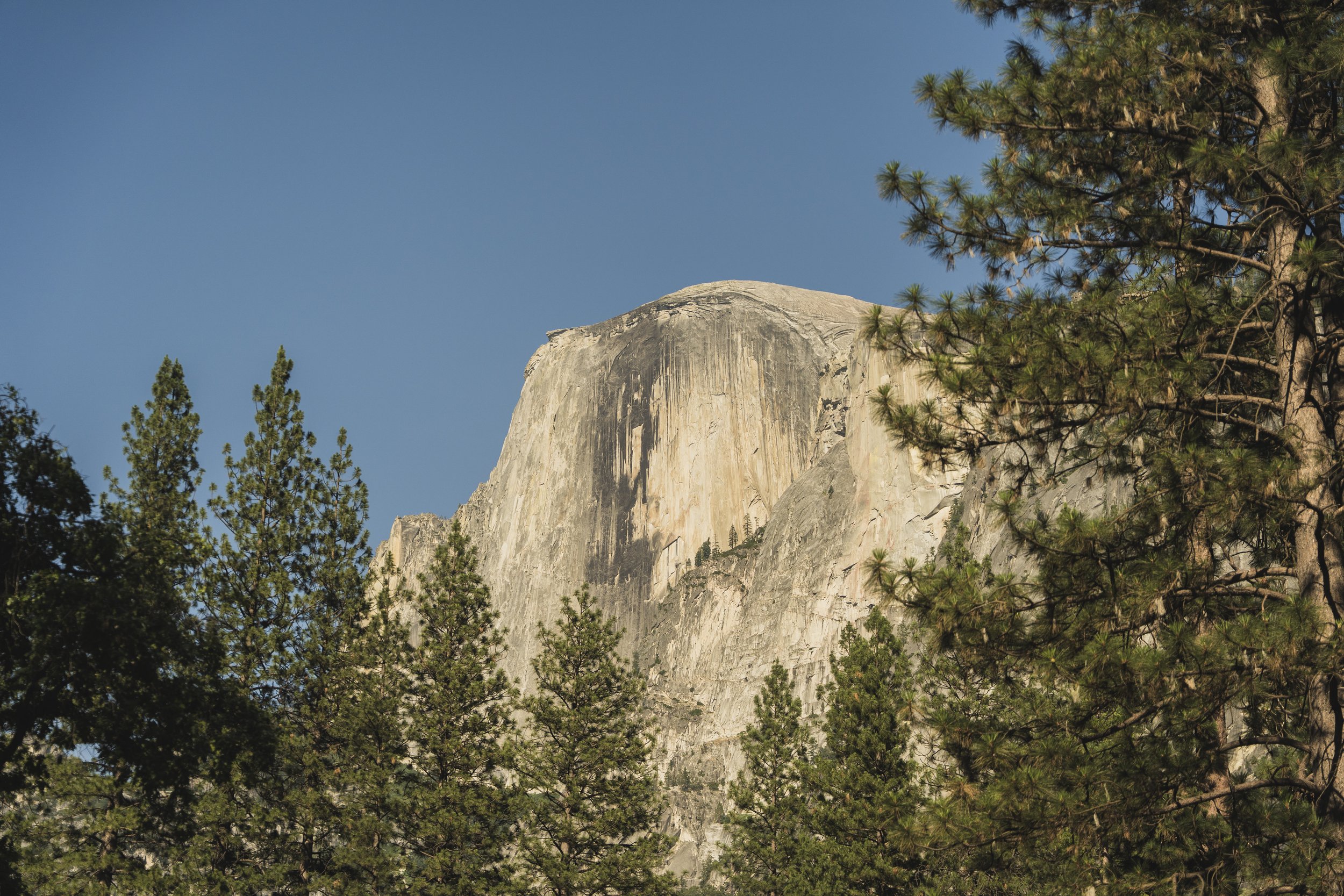 Yosemite-3.jpg