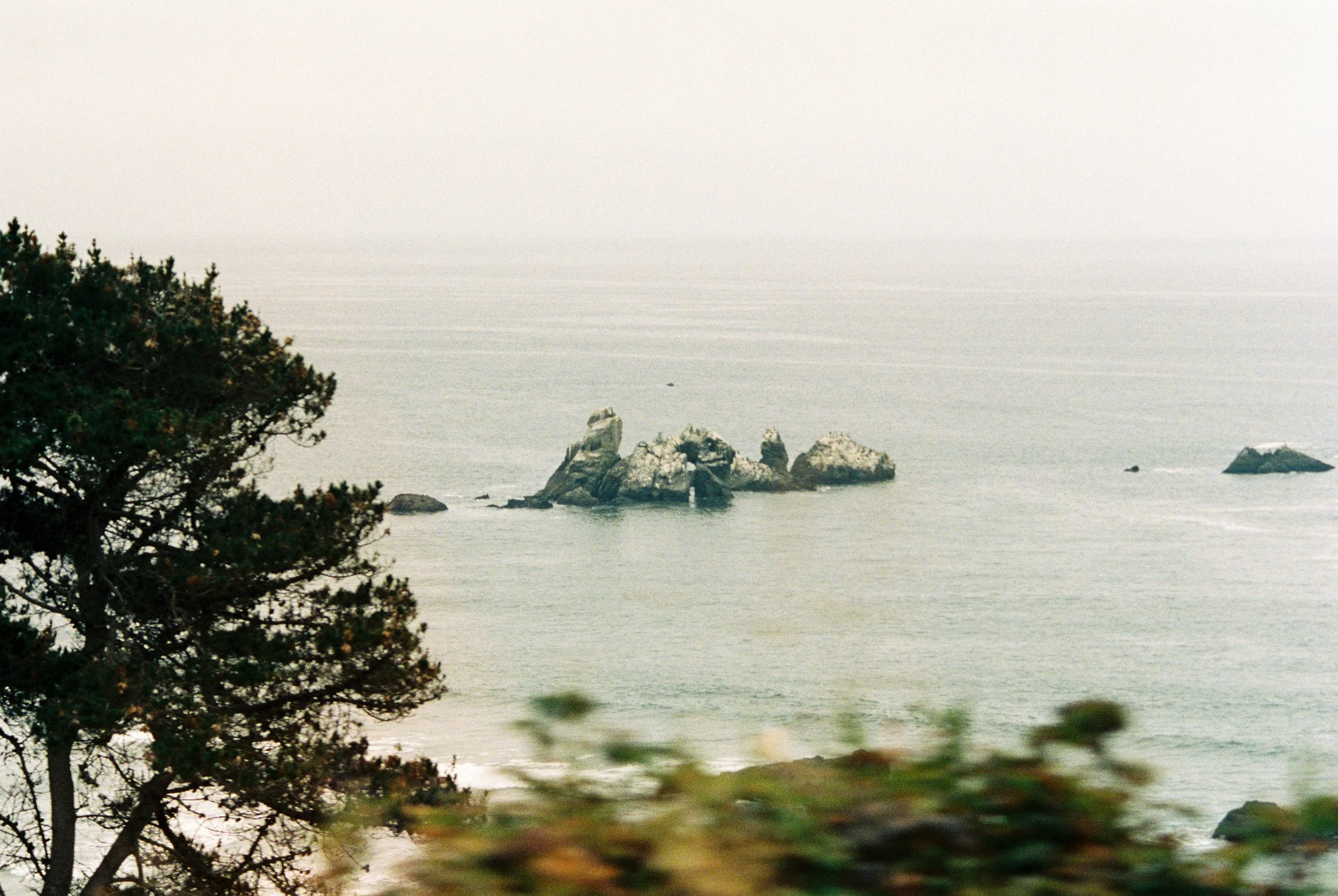 CA Film-7.jpg