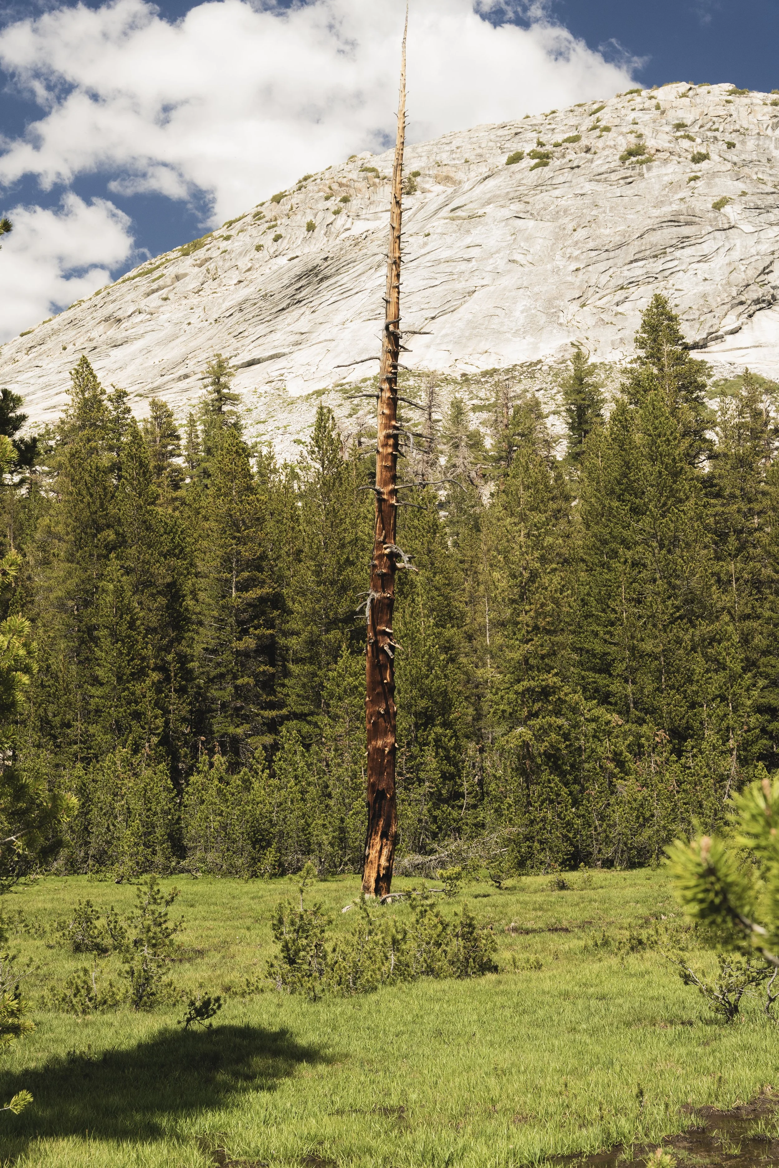 Yosemite.jpg