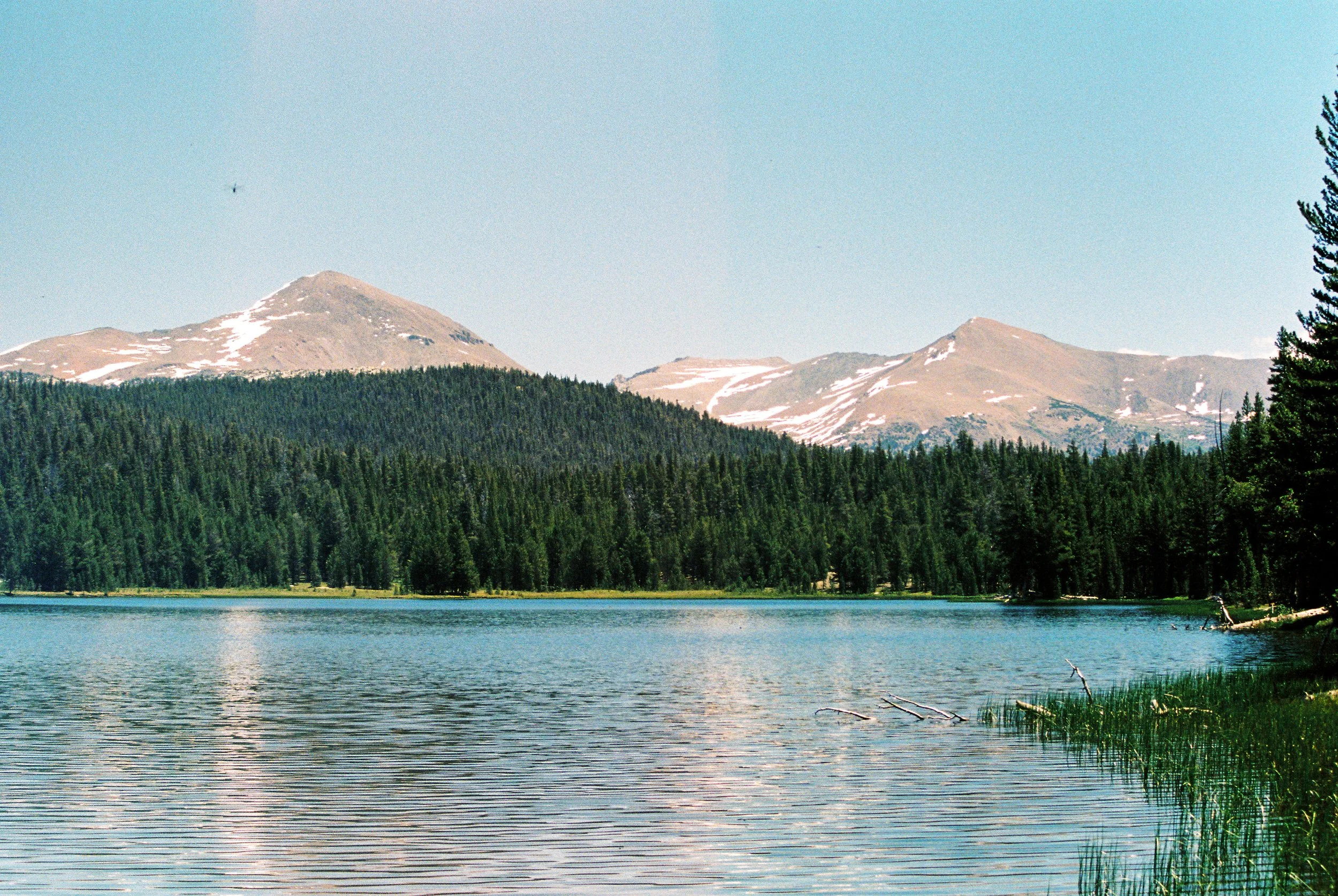 CA Film-8.jpg