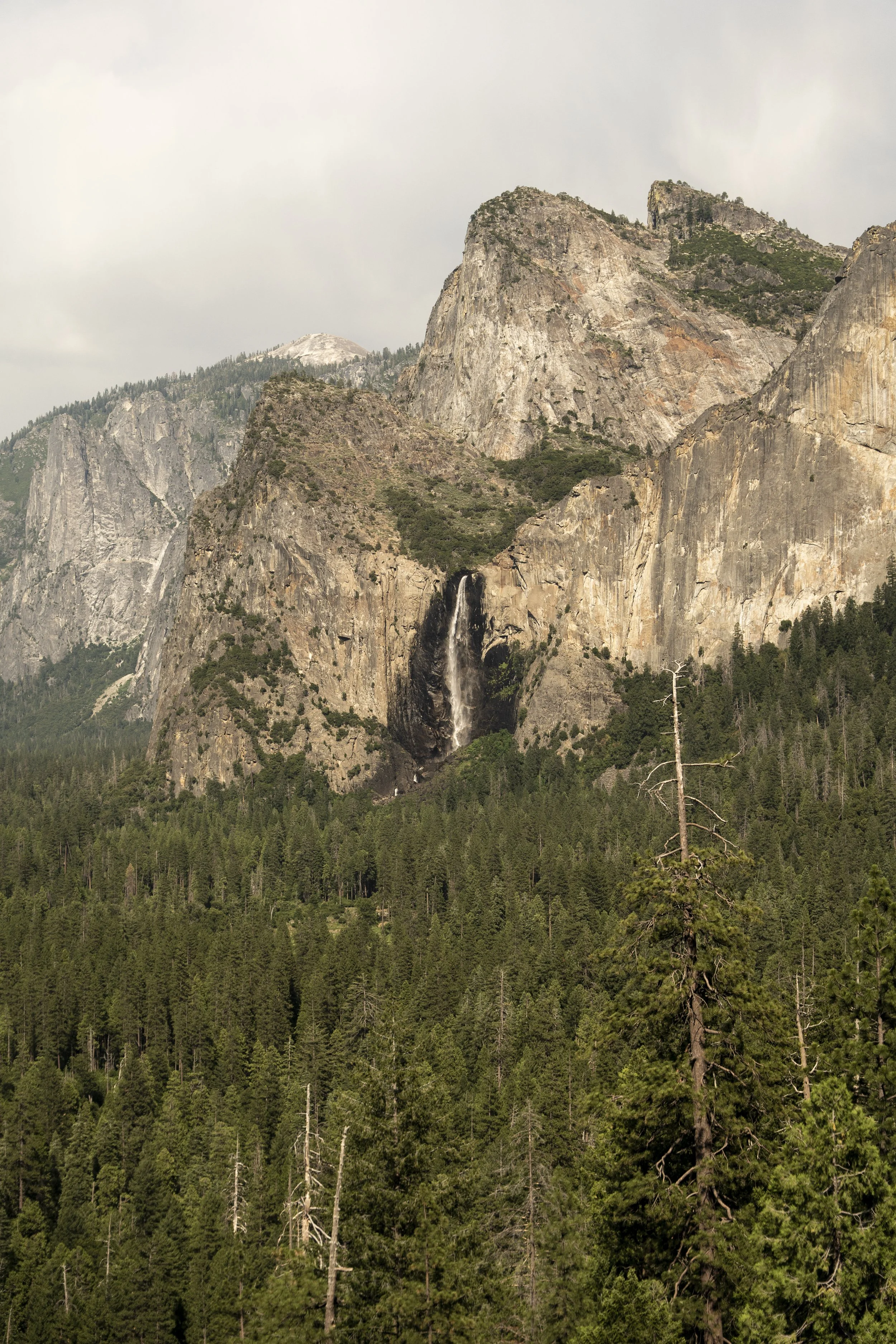 Yosemite-24.jpg