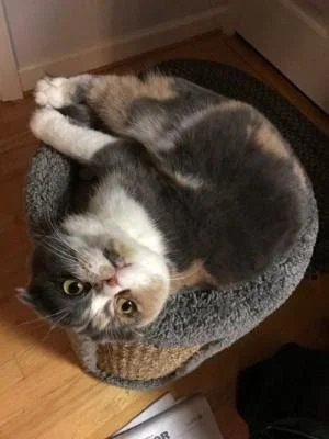 A new month, a new day, another minute has begun