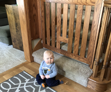 Baby by custom safety gate with cat door