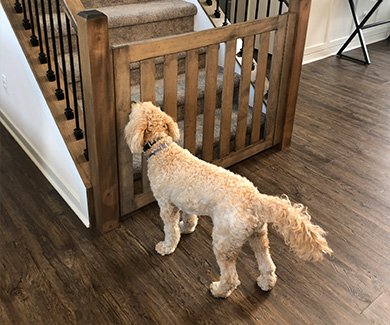 Custom pet gate to keep pet downstairs