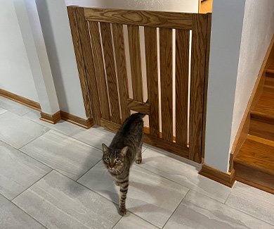 Cat walking through cat door on Gatekeepers gate