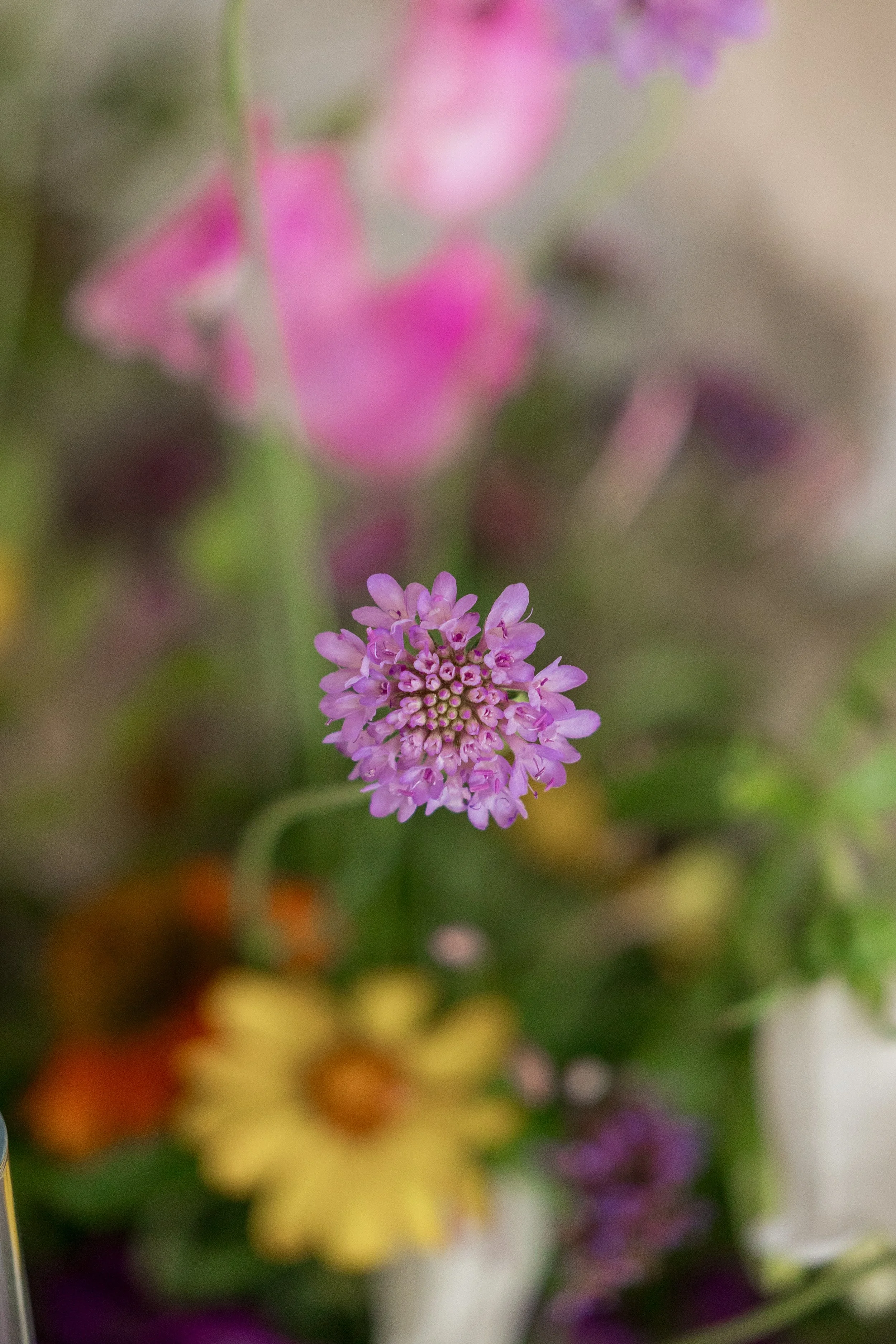 WEDDING-120.jpg