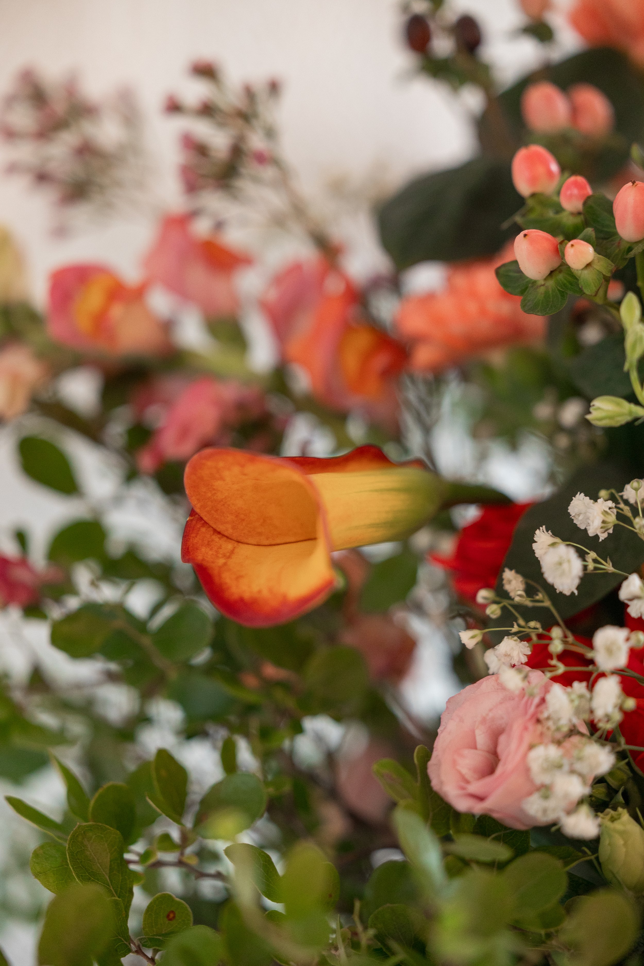 WEDDING-307.jpg