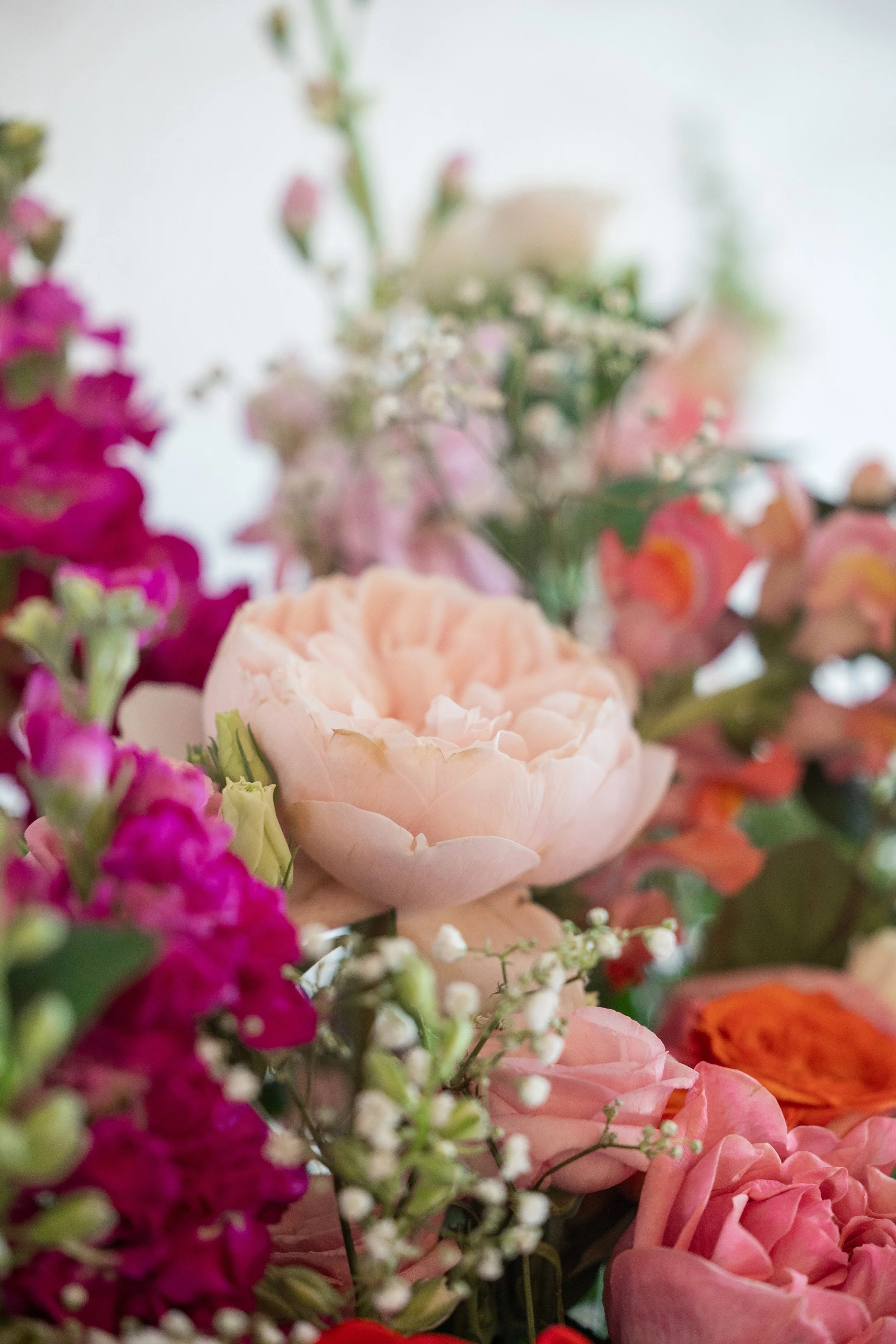 WEDDING-309.jpg