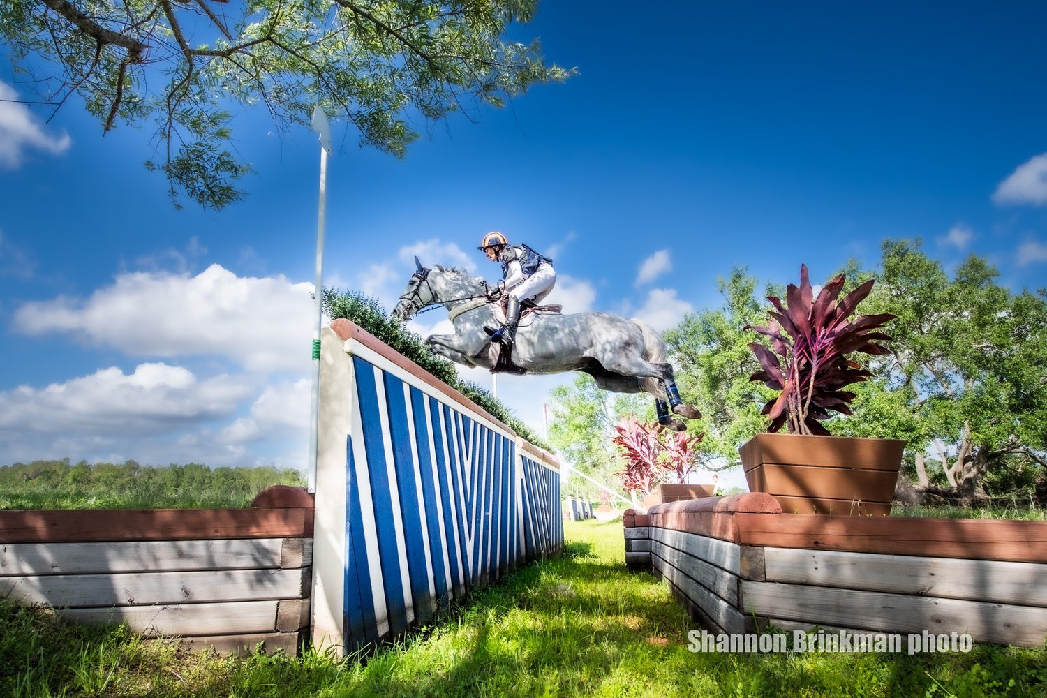 Liz Halliday-Sharp and Cooley Be Cool- 30.6