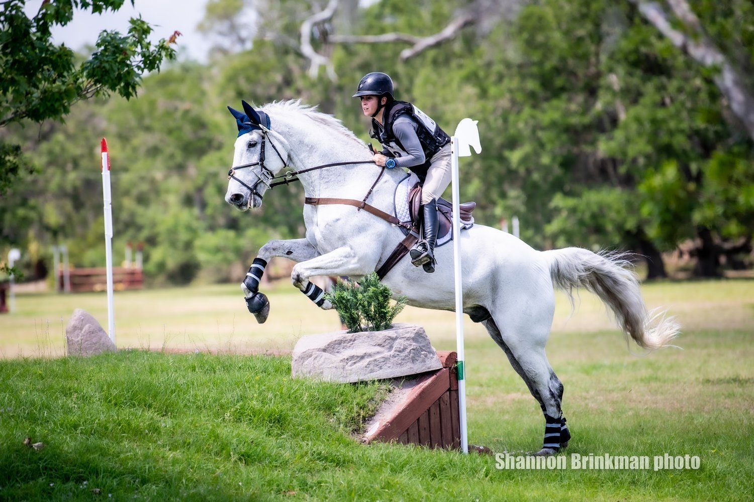 Aline Briot (USA) and Divine Legacy- 26.4