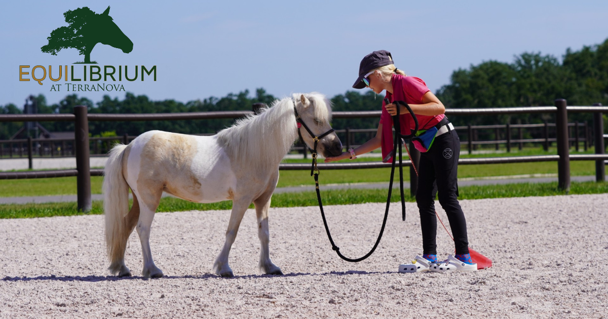 TerraNova's Equilibrium Program Expands Community Access to Wellness Through Horses
