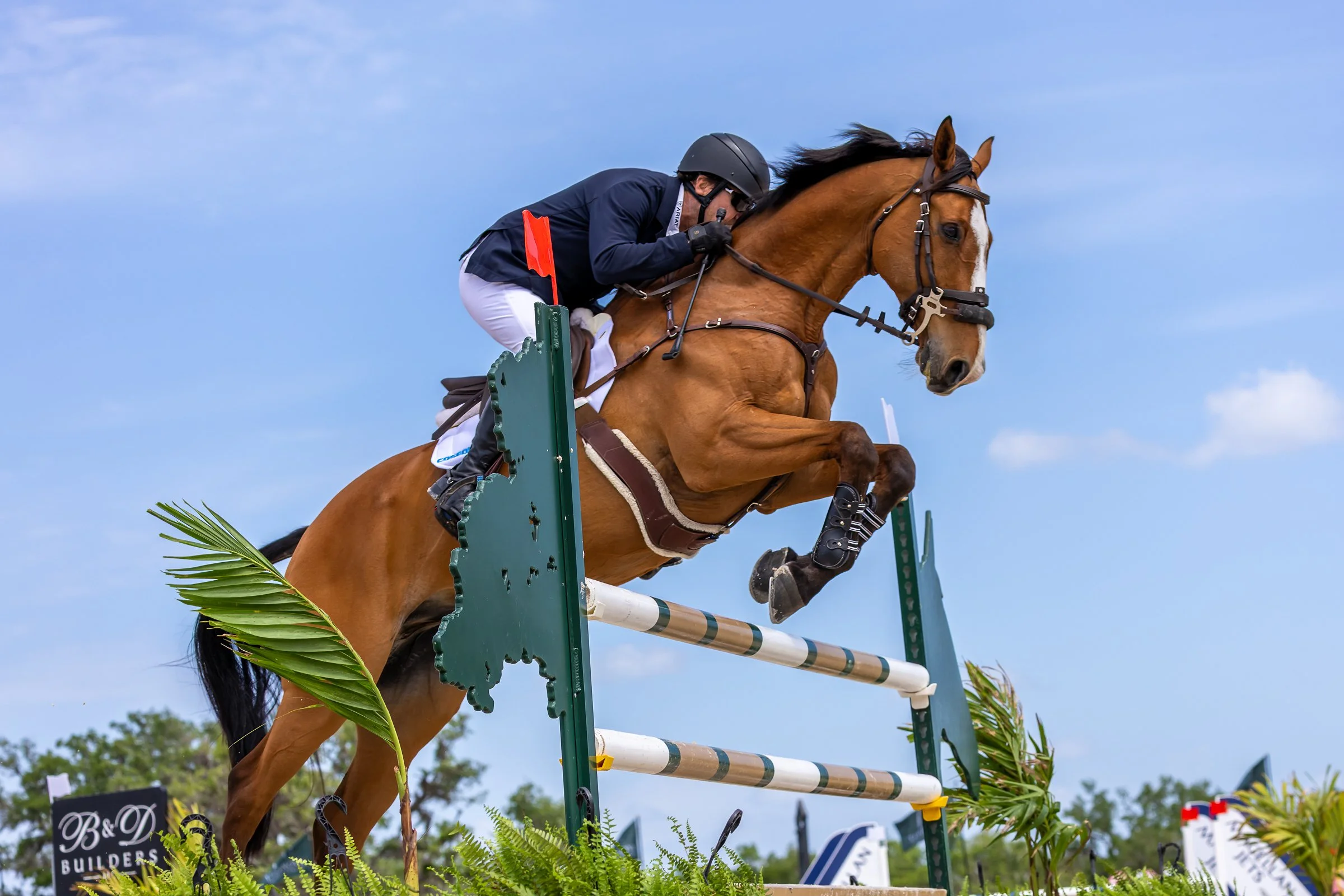 Ringside Luncheon - The Event at TerraNova Show Jumping Phase - March 28