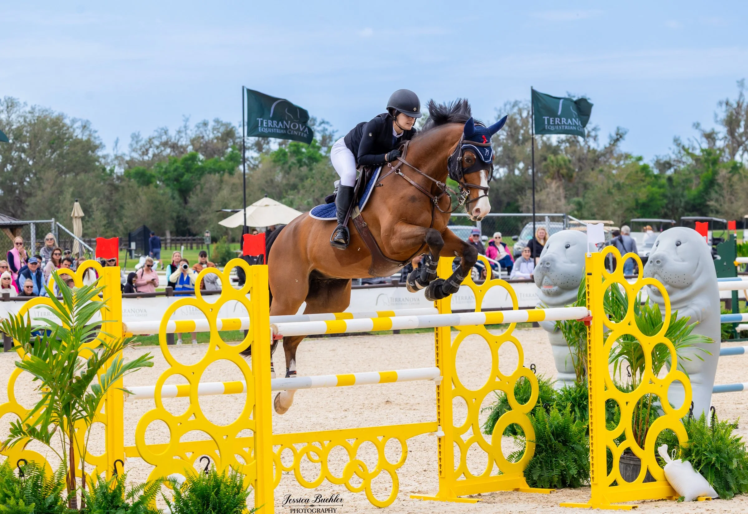 Ringside Luncheon - $65,000 Show Jumping Grand Prix - March 7