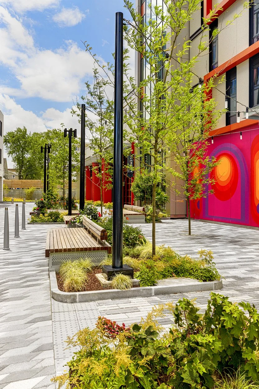 Vibrant public open space at Allston Labworks featuring modern landscape design installed by Xquisite Landscaping. The plaza includes contemporary site furnishings, wood benches, bold public art murals, new street trees, ornamental plantings, and dec