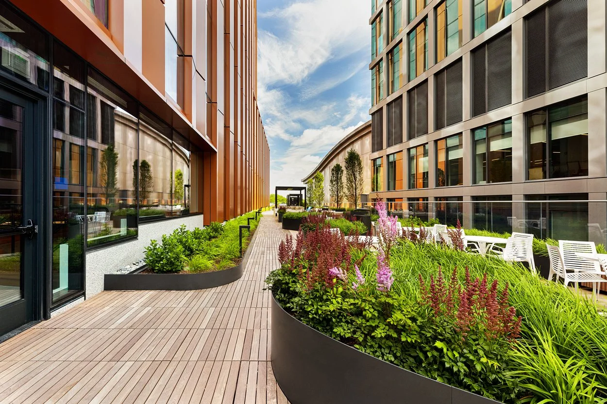 Rooftop amenity deck at 60 Guest Street in Allston featuring modern landscape installation by Xquisite Landscaping. This elevated outdoor space includes sleek wood decking, lush planter beds with ornamental grasses and seasonal color, comfortable lou