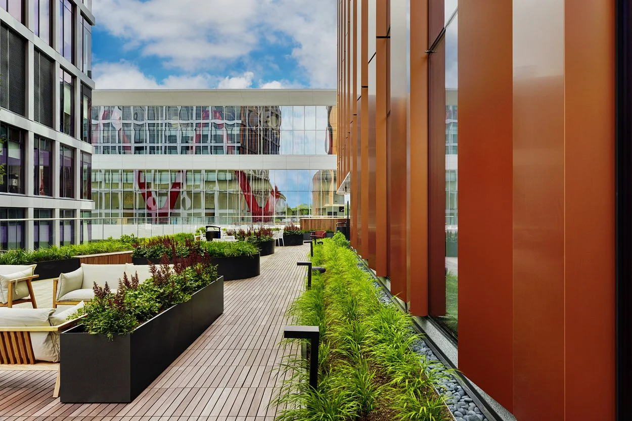 Rooftop amenity deck at 60 Guest Street in Allston featuring modern landscape installation by Xquisite Landscaping. This elevated outdoor space includes sleek wood decking, lush planter beds with ornamental grasses and seasonal color, comfortable lou