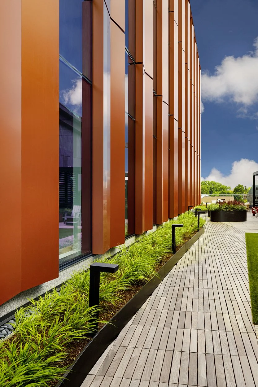 Rooftop amenity deck at 60 Guest Street in Allston featuring modern landscape installation by Xquisite Landscaping. This elevated outdoor space includes sleek wood decking, lush planter beds with ornamental grasses and seasonal color, comfortable lou
