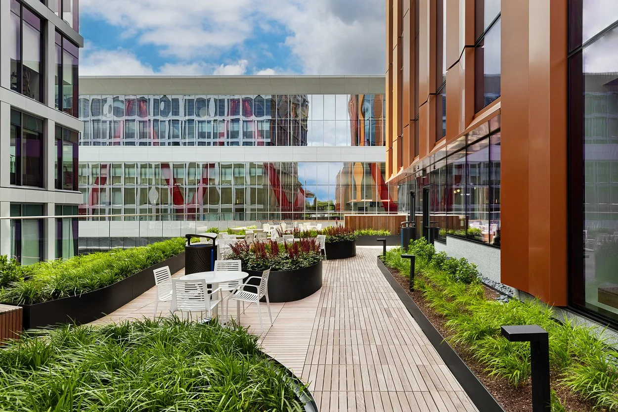 Rooftop amenity deck at 60 Guest Street in Allston featuring modern landscape installation by Xquisite Landscaping. This elevated outdoor space includes sleek wood decking, lush planter beds with ornamental grasses and seasonal color, outdoor cafe se