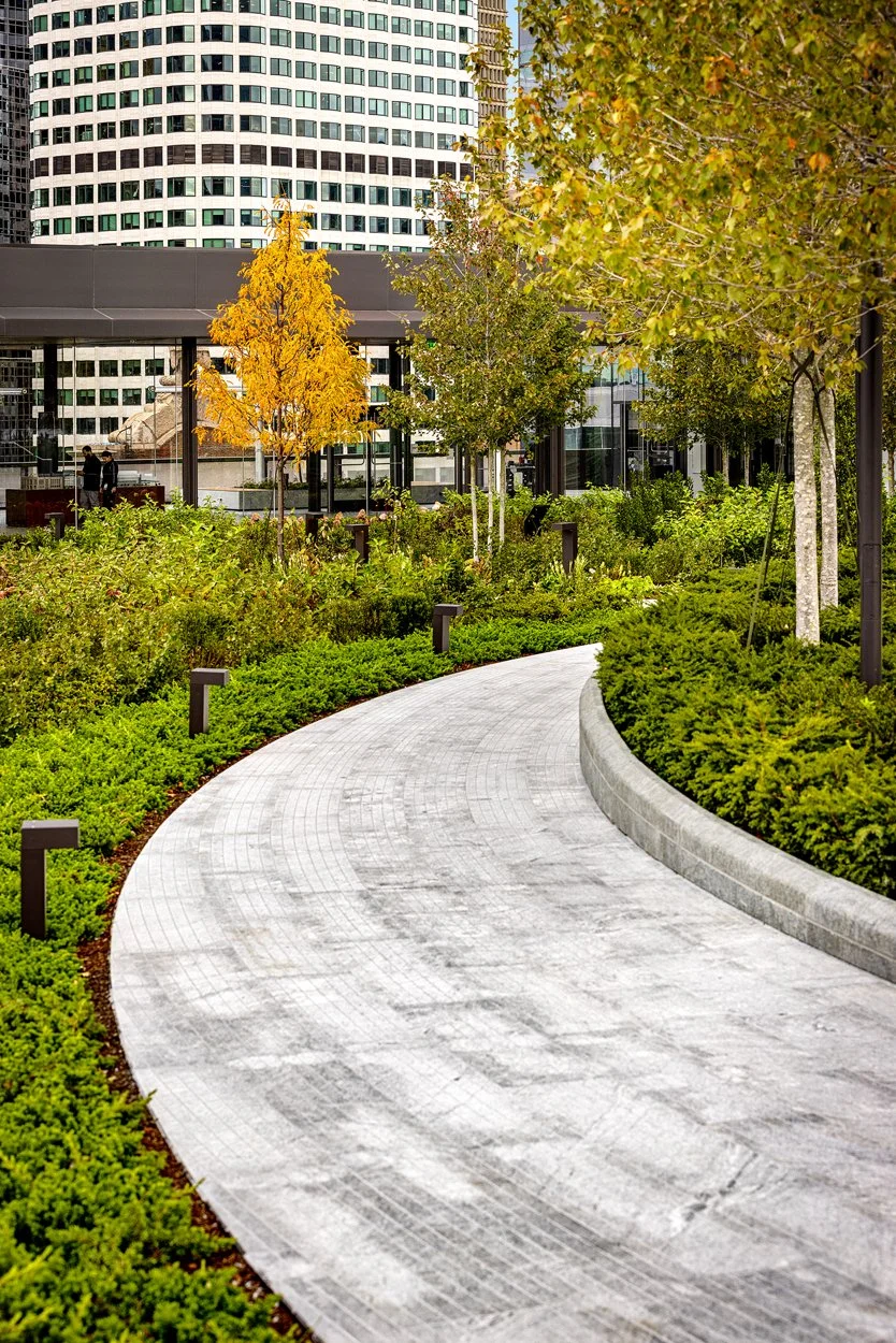 A picture showcasing the extensive planting done at the new South Station Tower. The area shown has full ground cover around the granite paver pathway that runs through the Sky Park of the 11th floor.