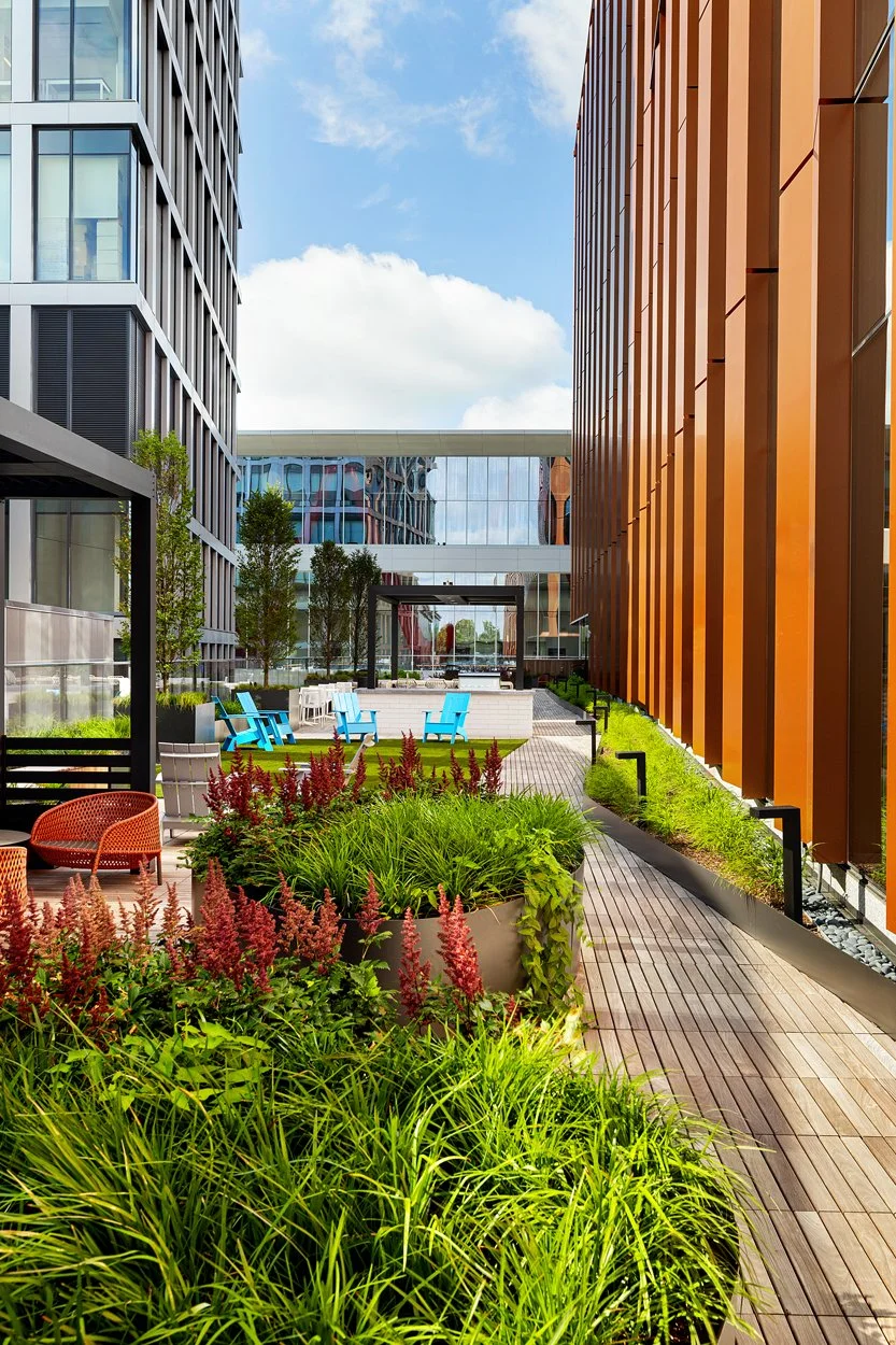 Rooftop amenity deck at 60 Guest Street in Allston featuring modern landscape installation by Xquisite Landscaping. This elevated outdoor space includes sleek wood decking, lush planter beds with ornamental grasses and seasonal color, comfortable lou