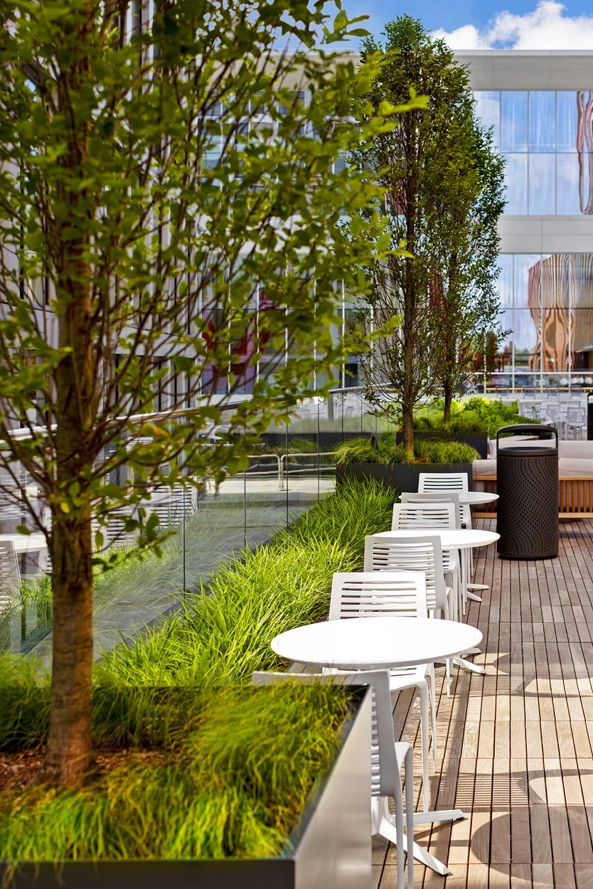 Rooftop amenity deck at 60 Guest Street in Allston featuring modern landscape installation by Xquisite Landscaping. This elevated outdoor space includes sleek wood decking, lush planter beds with ornamental grasses and seasonal color, outdoor cafe se