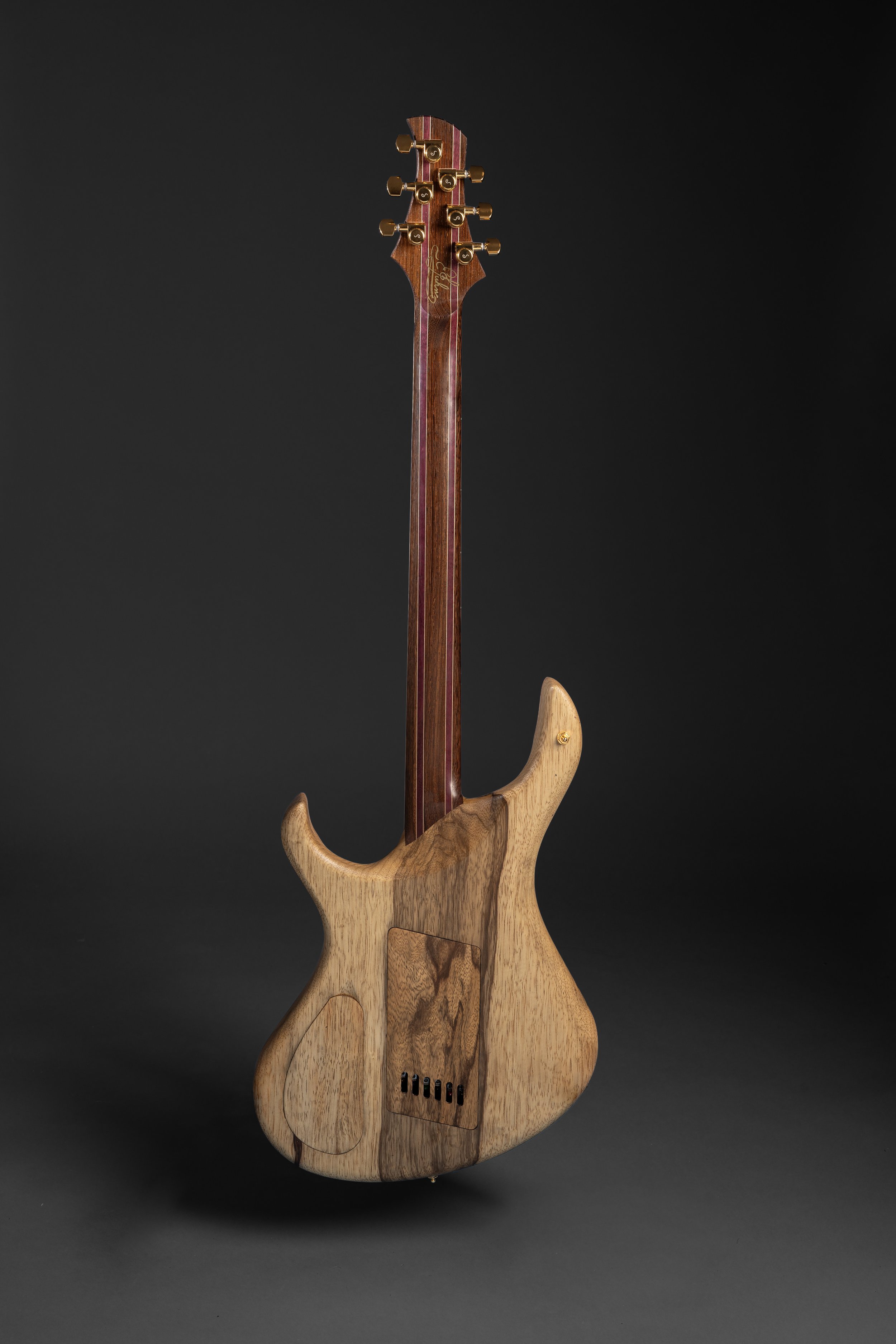 Polin-Guitars-27.jpg