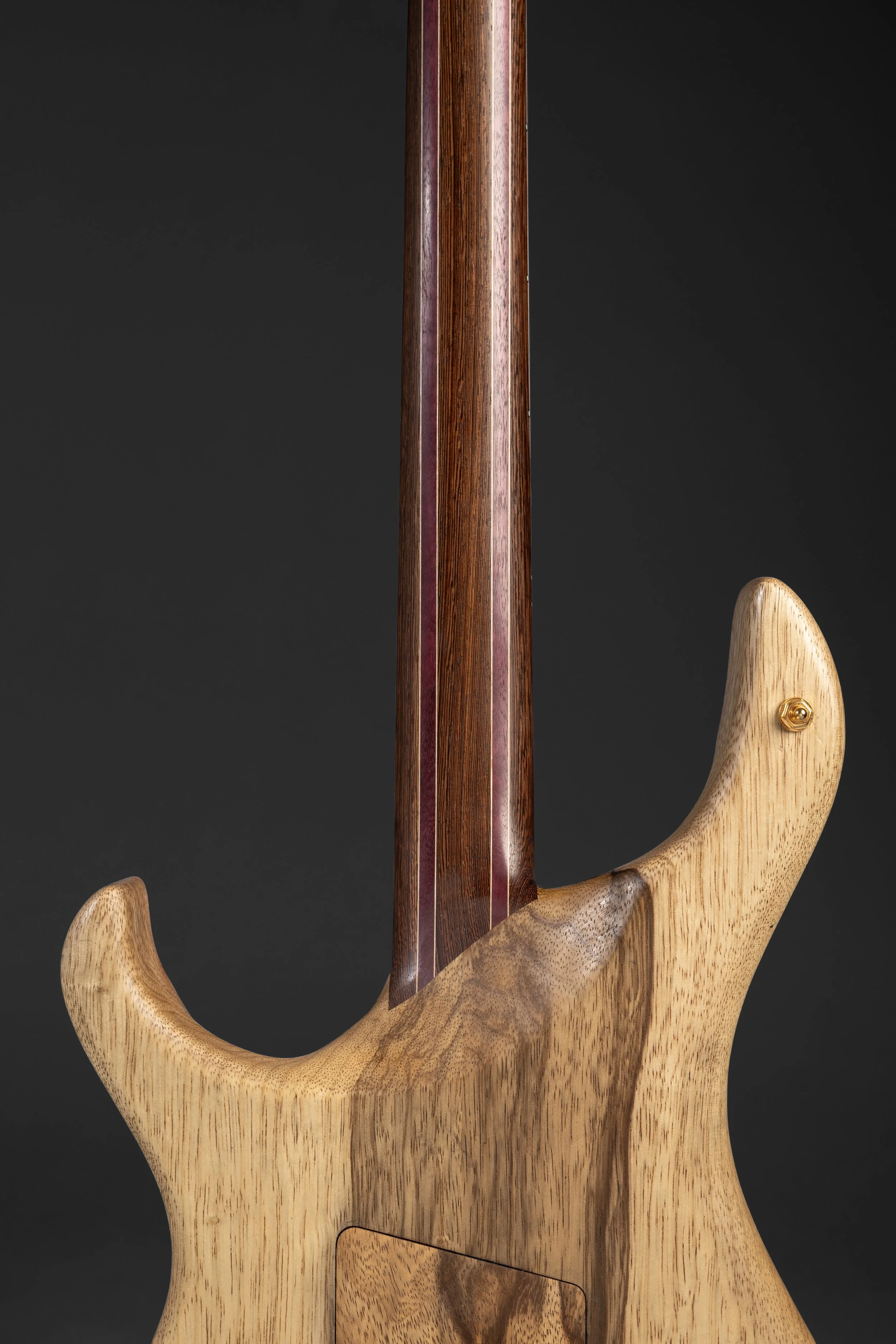 Polin-Guitars-31.jpg