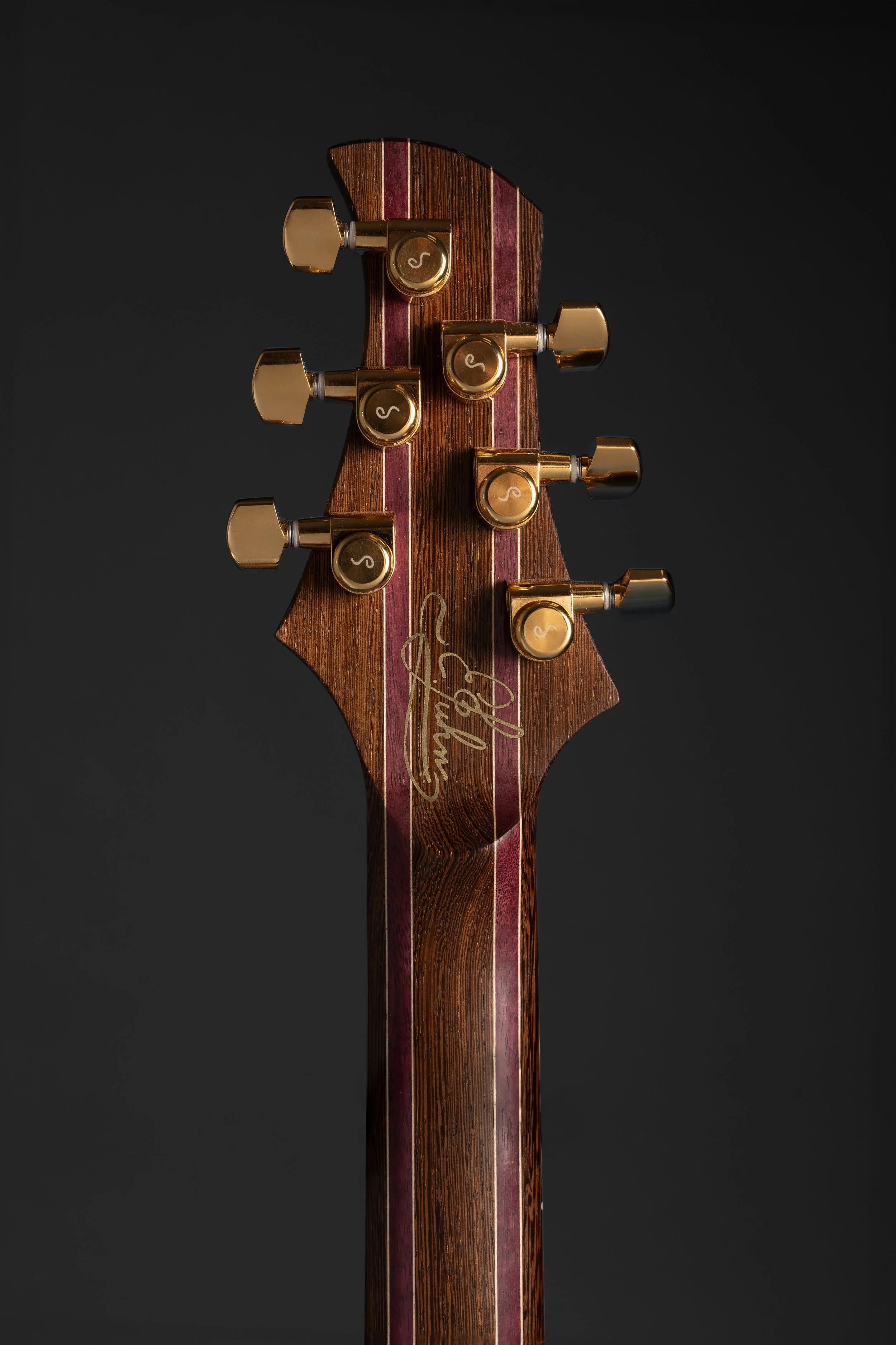 Polin-Guitars-32.jpg