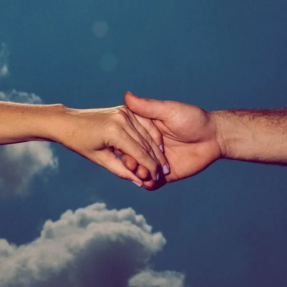 Colony House "Hummingbird"