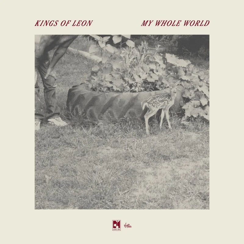 Kings of Leon "My Whole World"