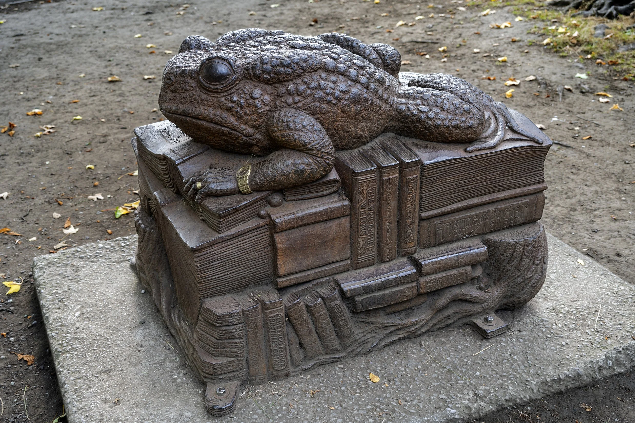 Endcliffe Park Toad