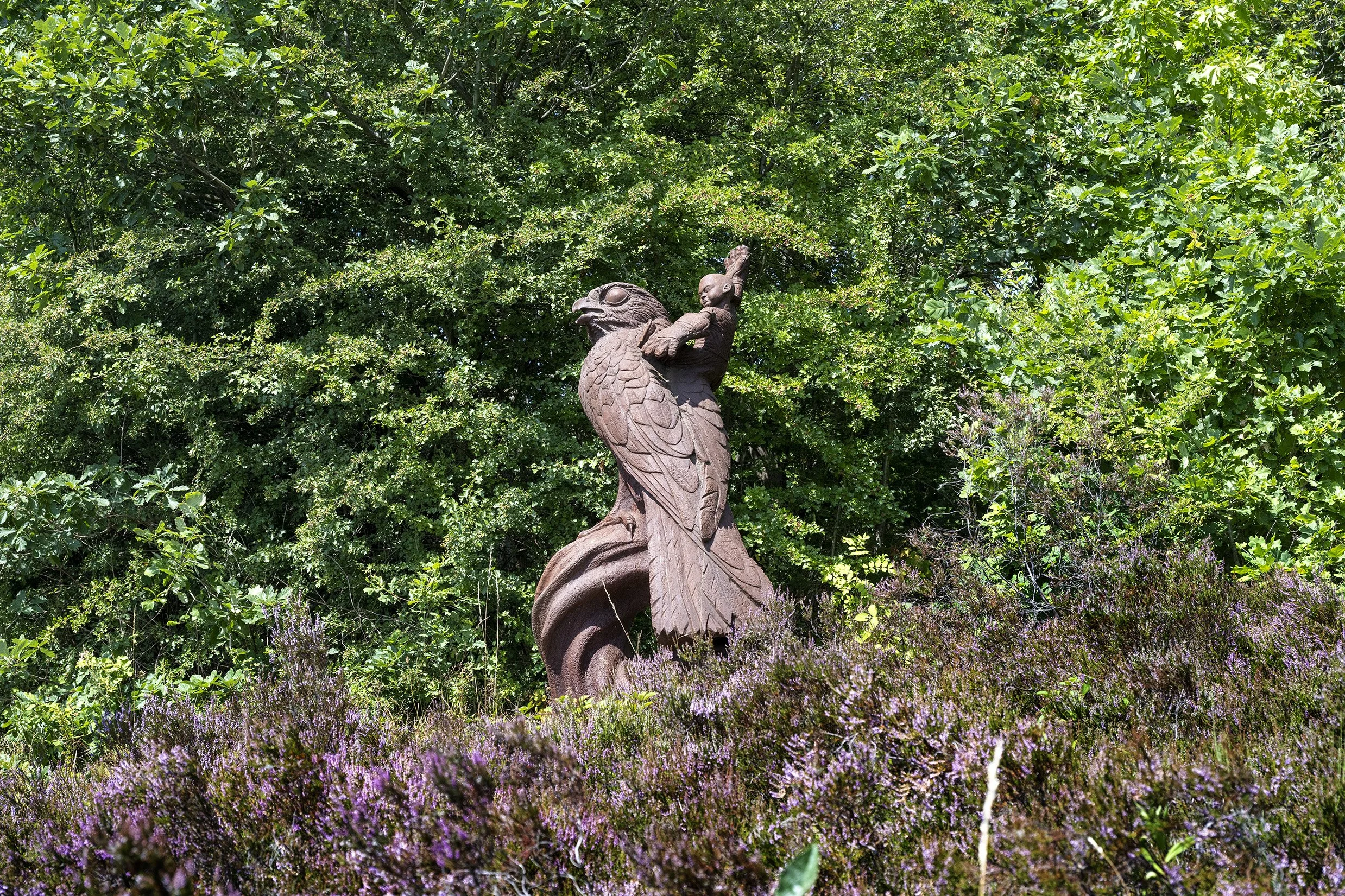 Seen through the heather, a giant iron kestrel sculpture haunts the entrance to Parkwood Springs Site of special Scientific Interest. The Bird and the Boy sculpture by sculptor Jason Thomson. Art in the wild.