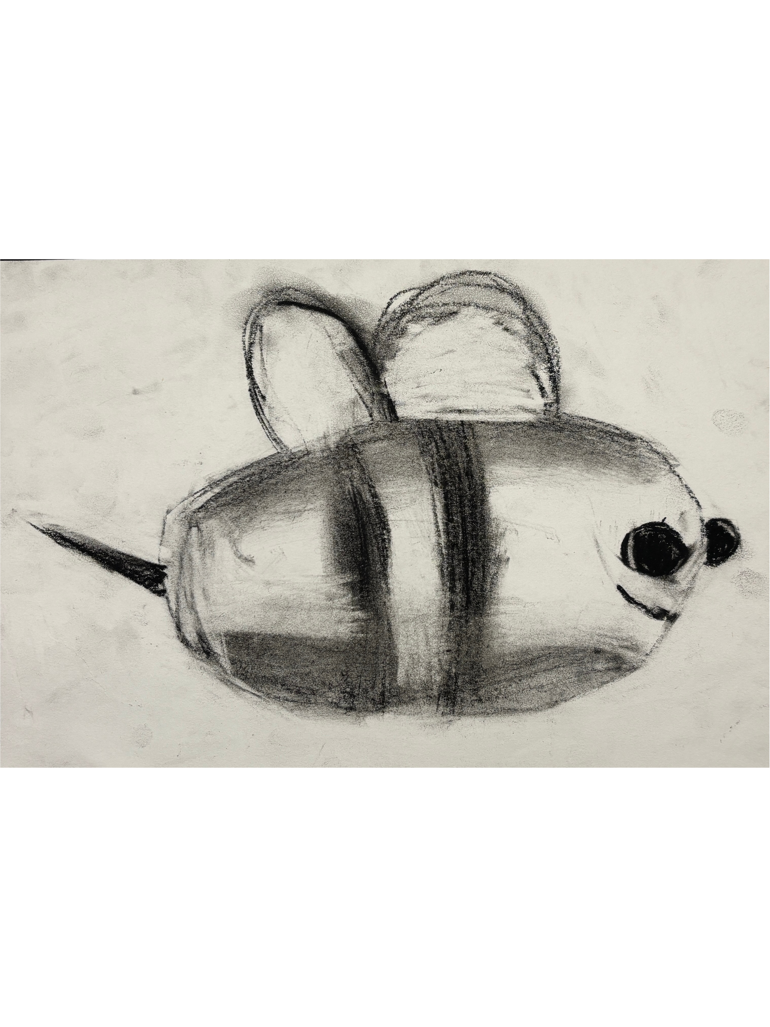 Rio, Charcoal Bee