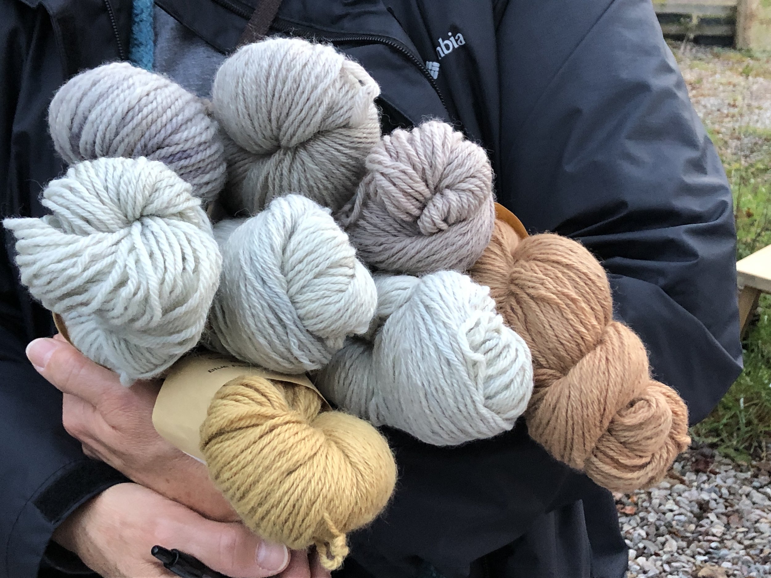 Receive New York sheep industry newsletter from ESPA.
