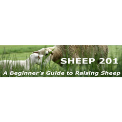 Sheep 201 logo.