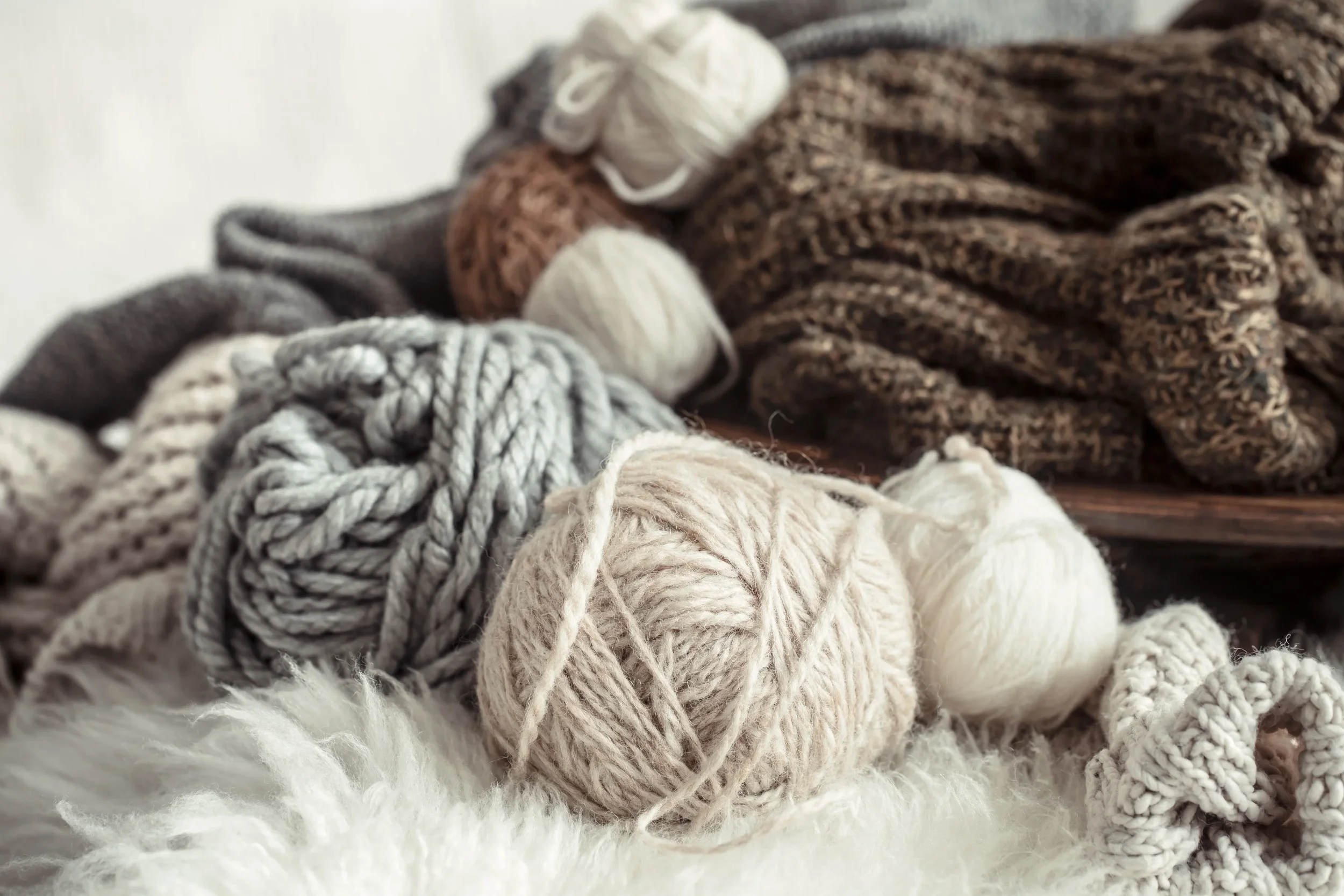 Find New York sheep products including lamb, wool, and breeding stock.