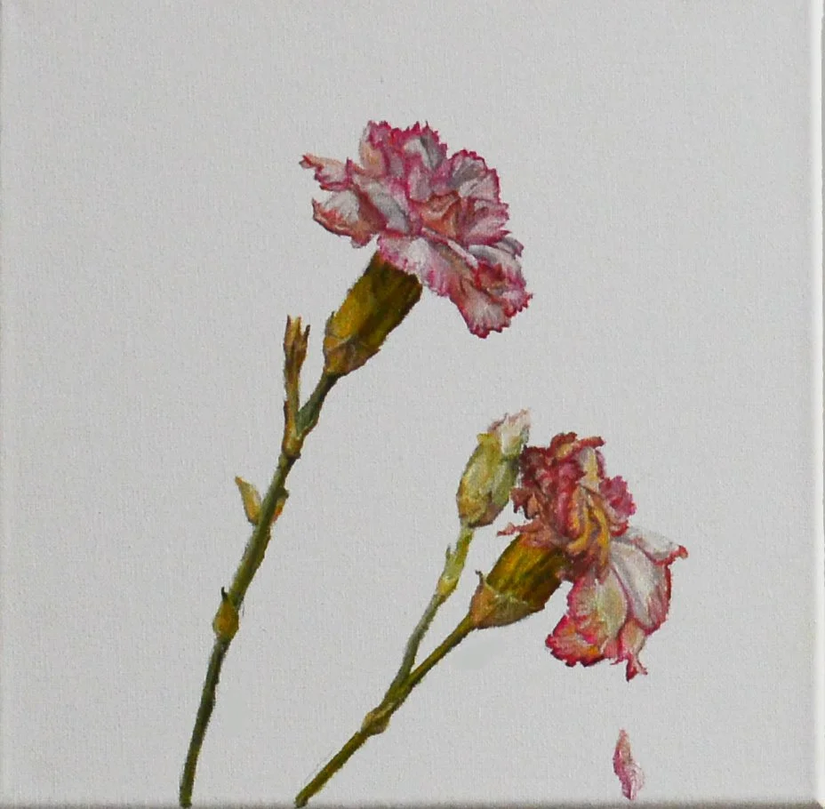 10"x10" Carnation