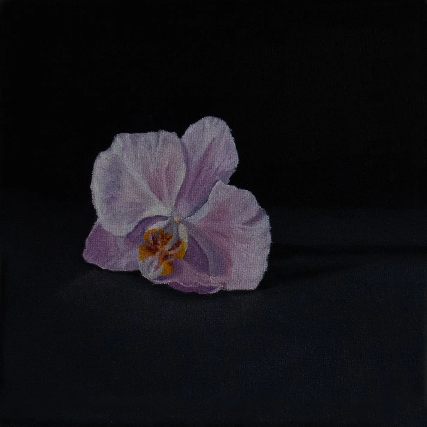Orchid.jpg